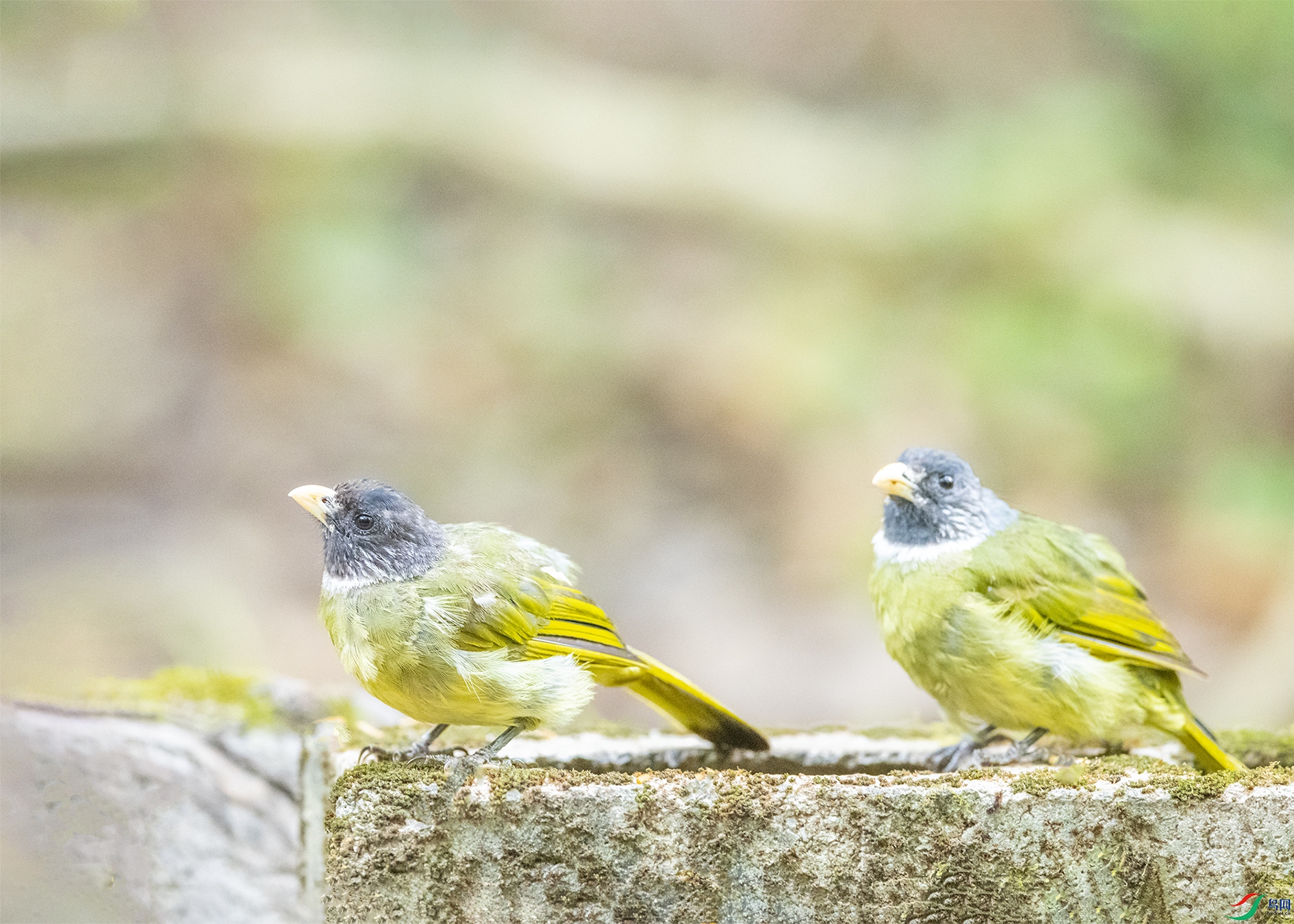 5495 ����.jpg