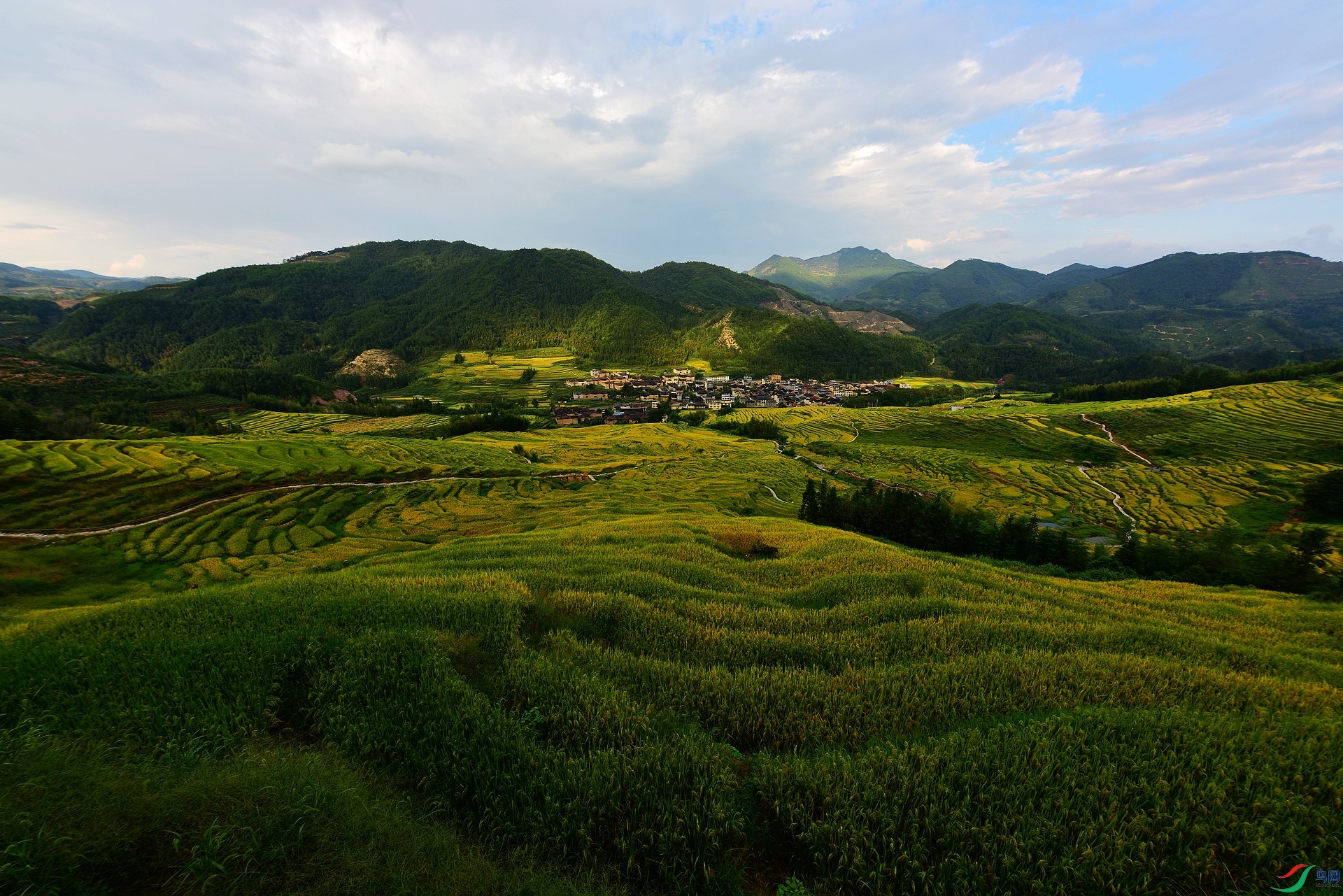 D8I_2579.jpg