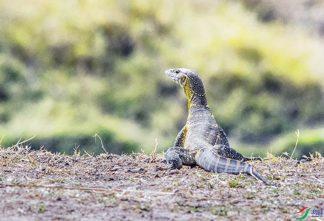 DSC_7450.jpg
