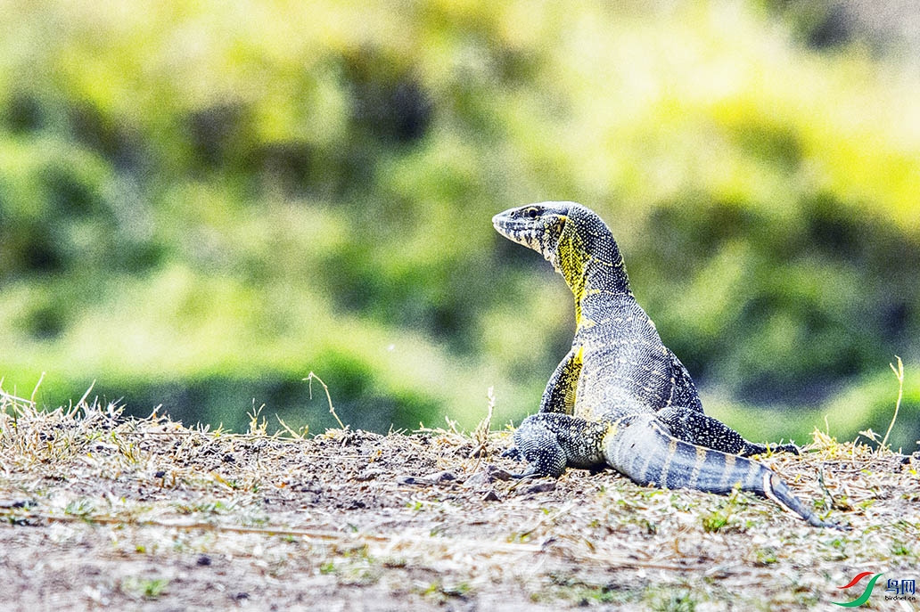 DSC_7463.jpg