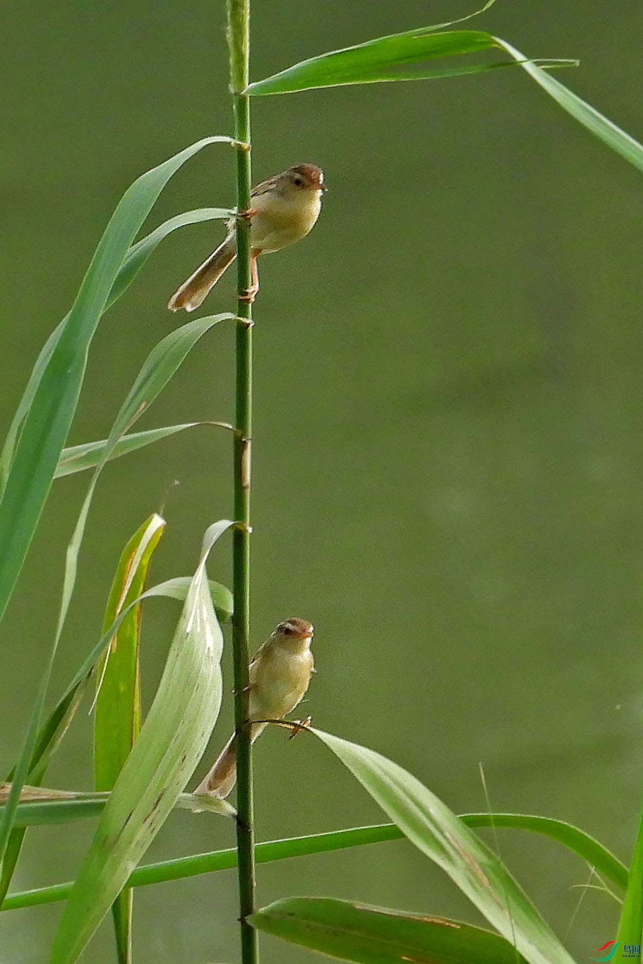 DSCN9640.JPG