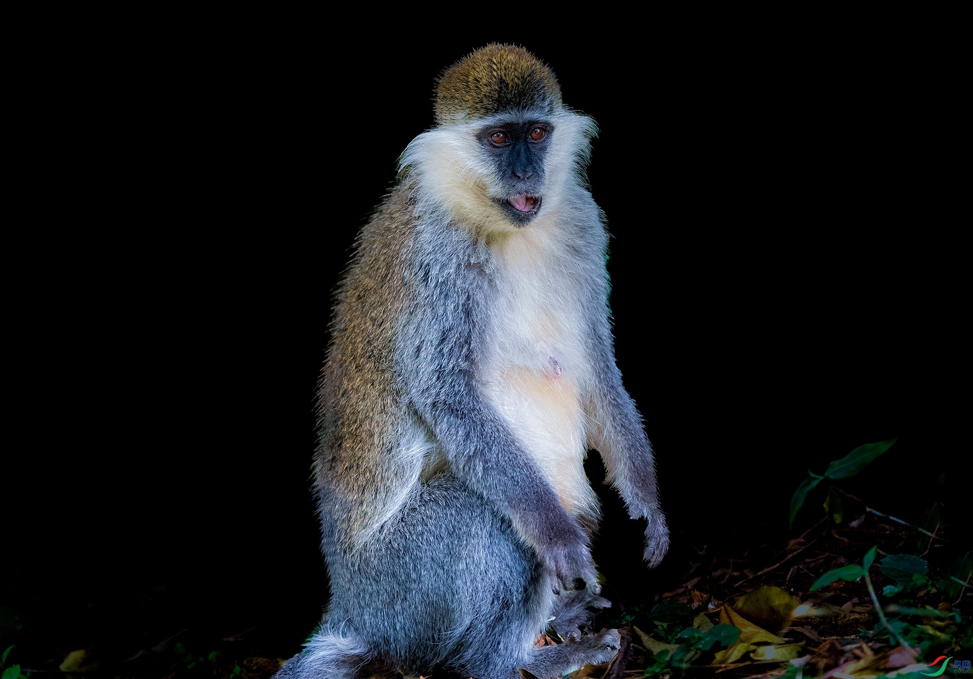 DSC_1897- ����.jpg