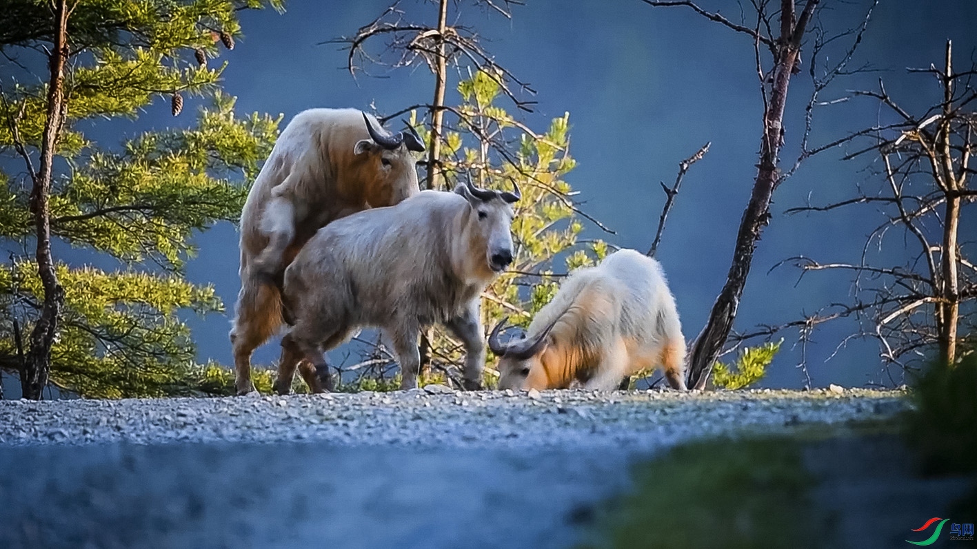 ���� 01.00_00_20_18.Still001.jpg-2.jpg