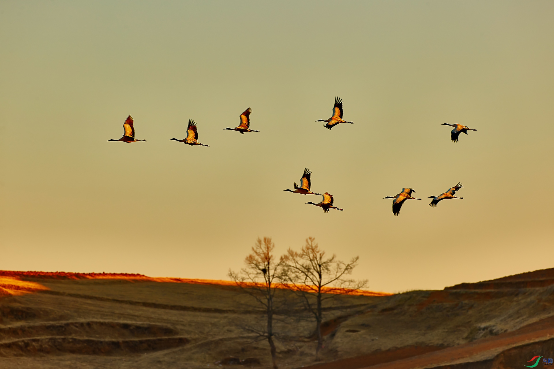 AV3I5348-1 ����-HZW.jpg