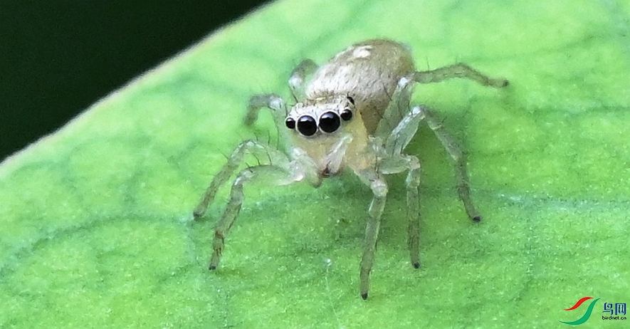 DSC_5810_����.jpg