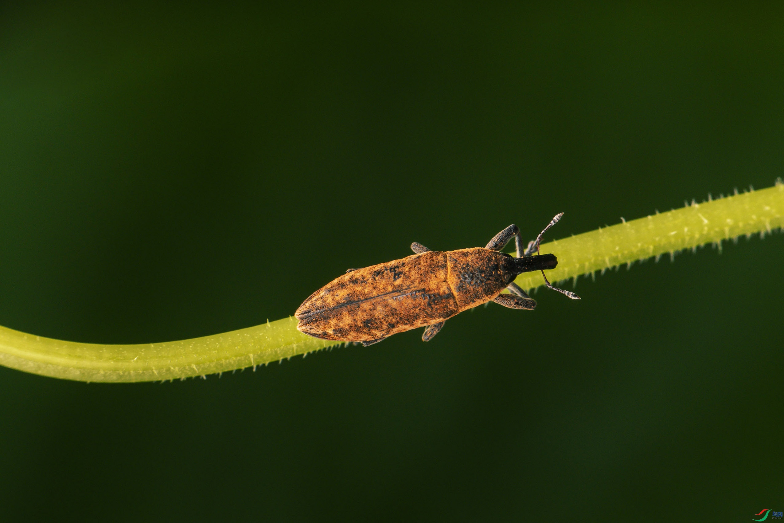 DSC_8753.jpg