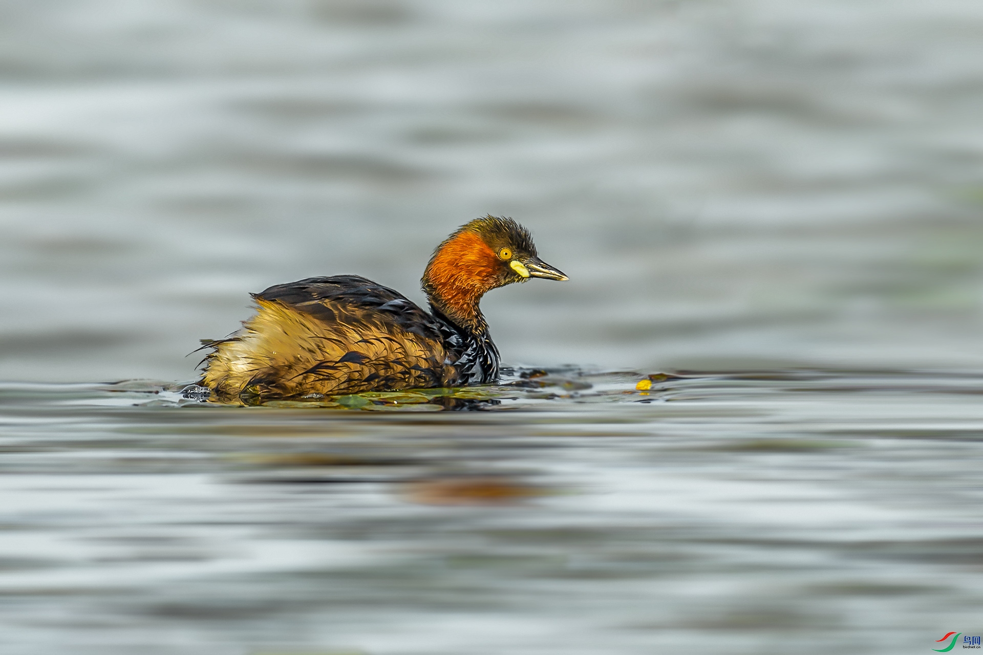 DSC_6720.jpg