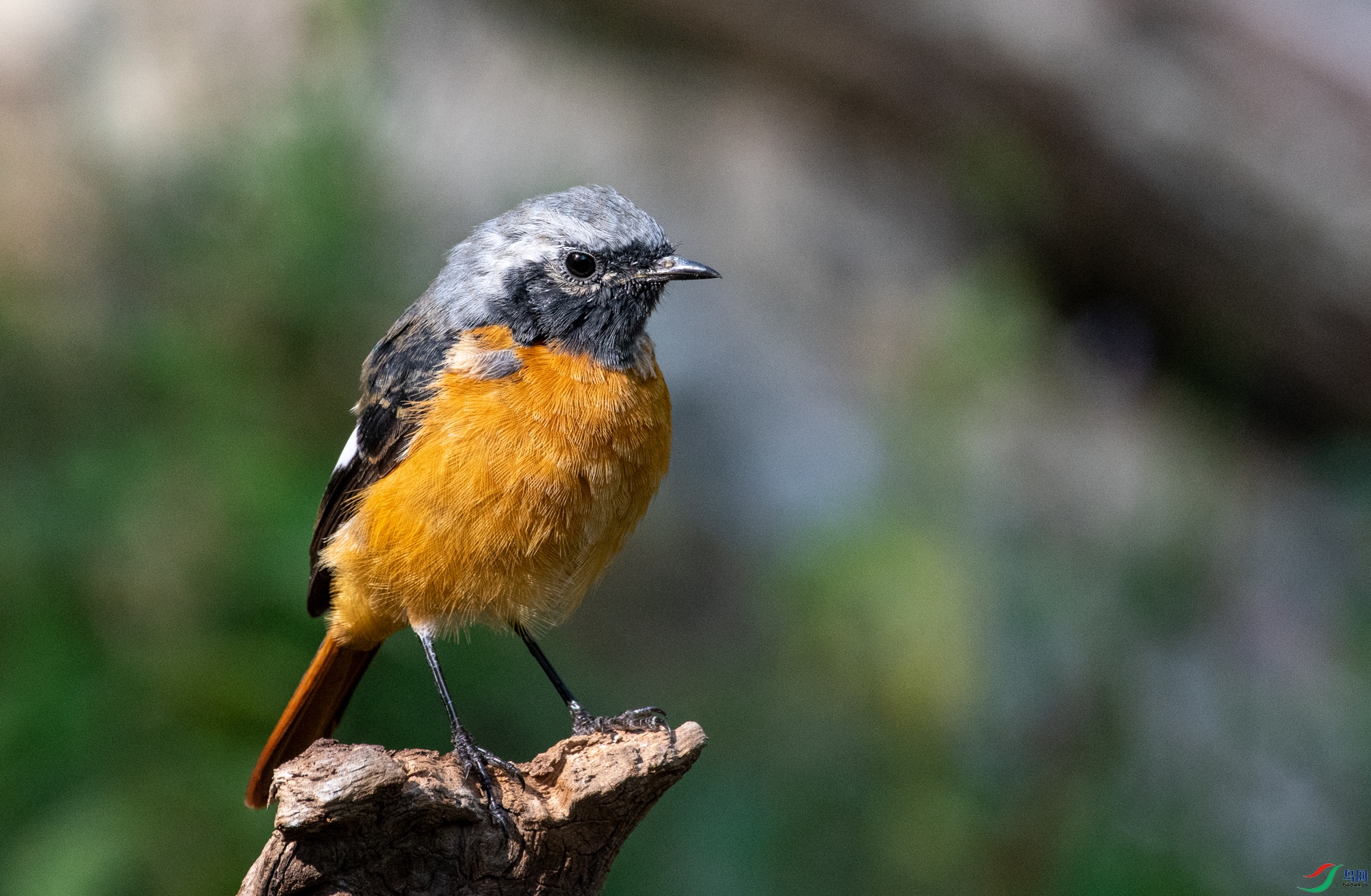 DSC_1664.jpg