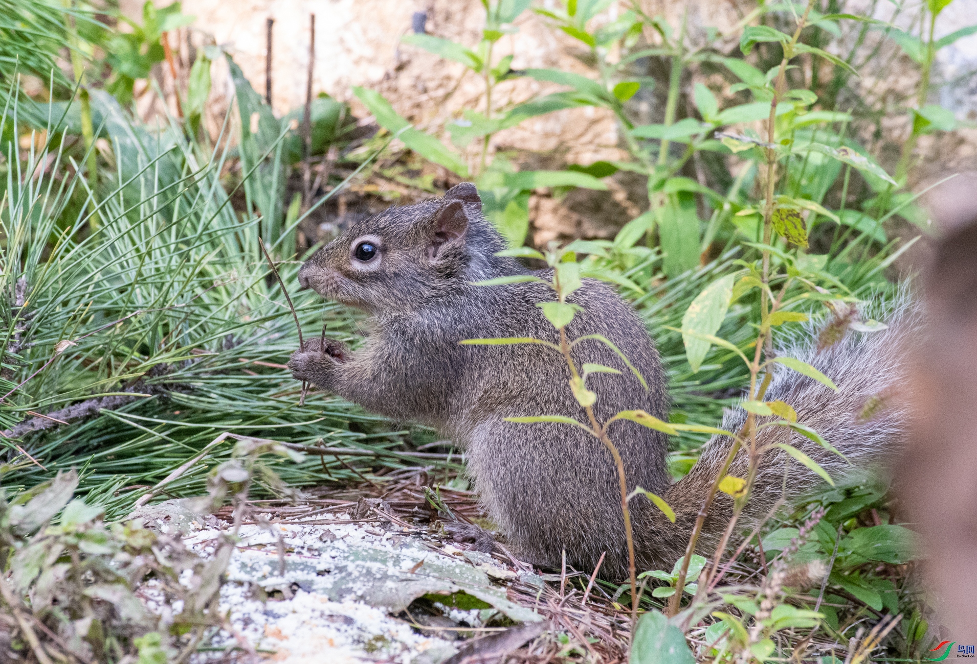 DSC_1922.jpg