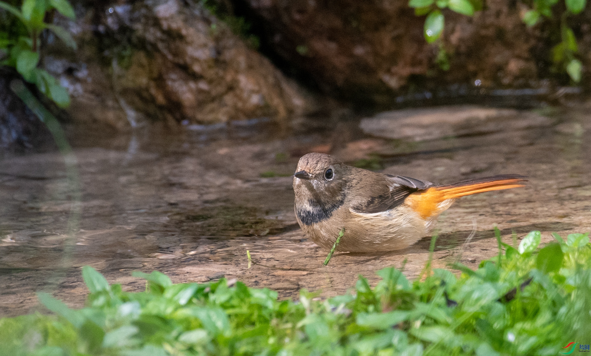 DSC_2165.jpg