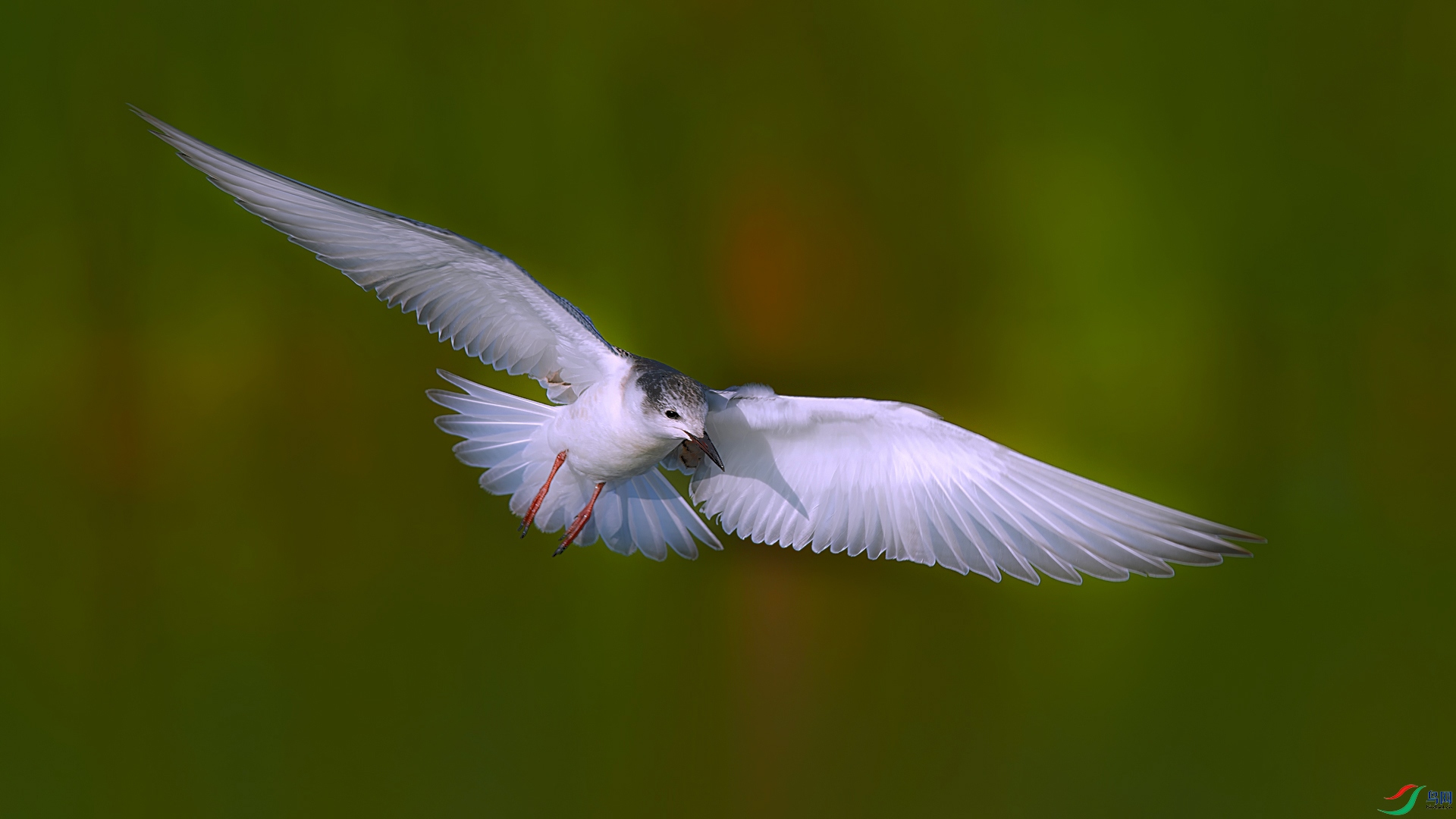_DSC4565==1w.jpg