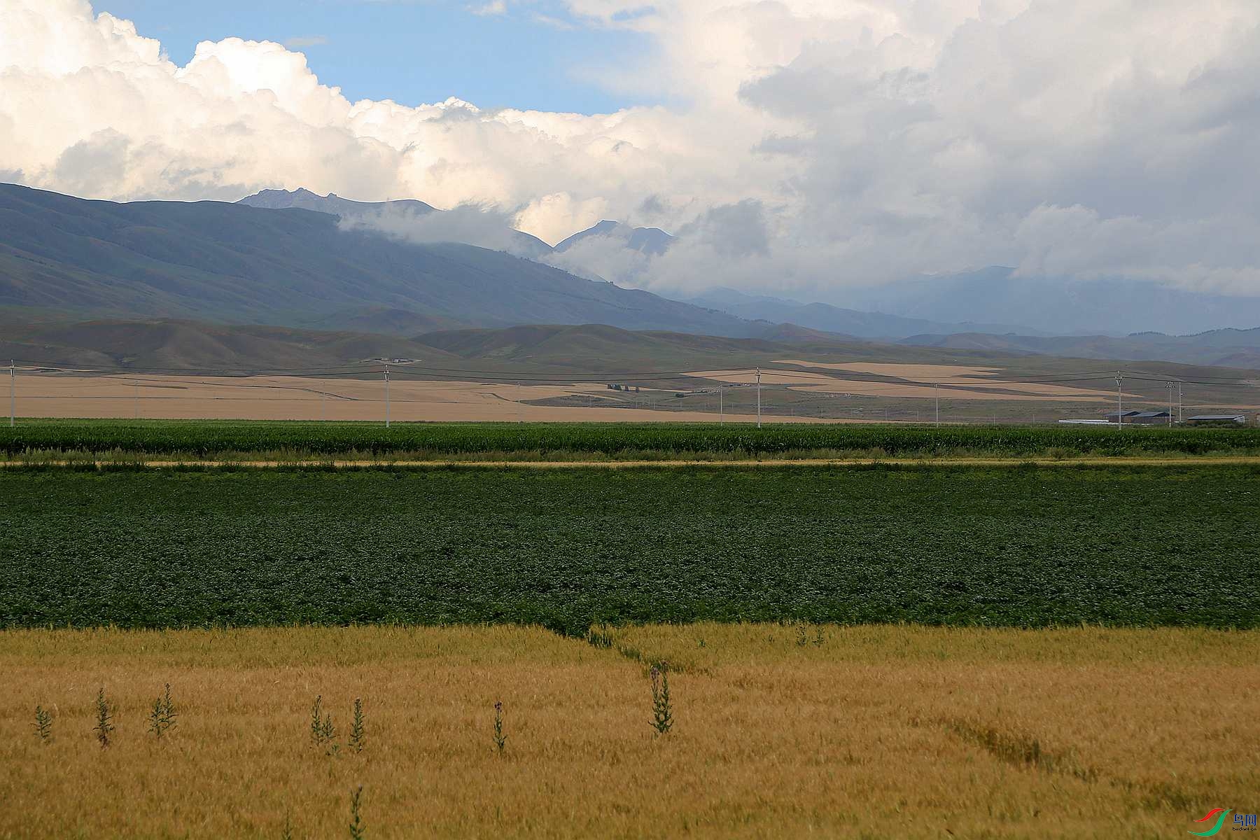 ���յ���Ұ