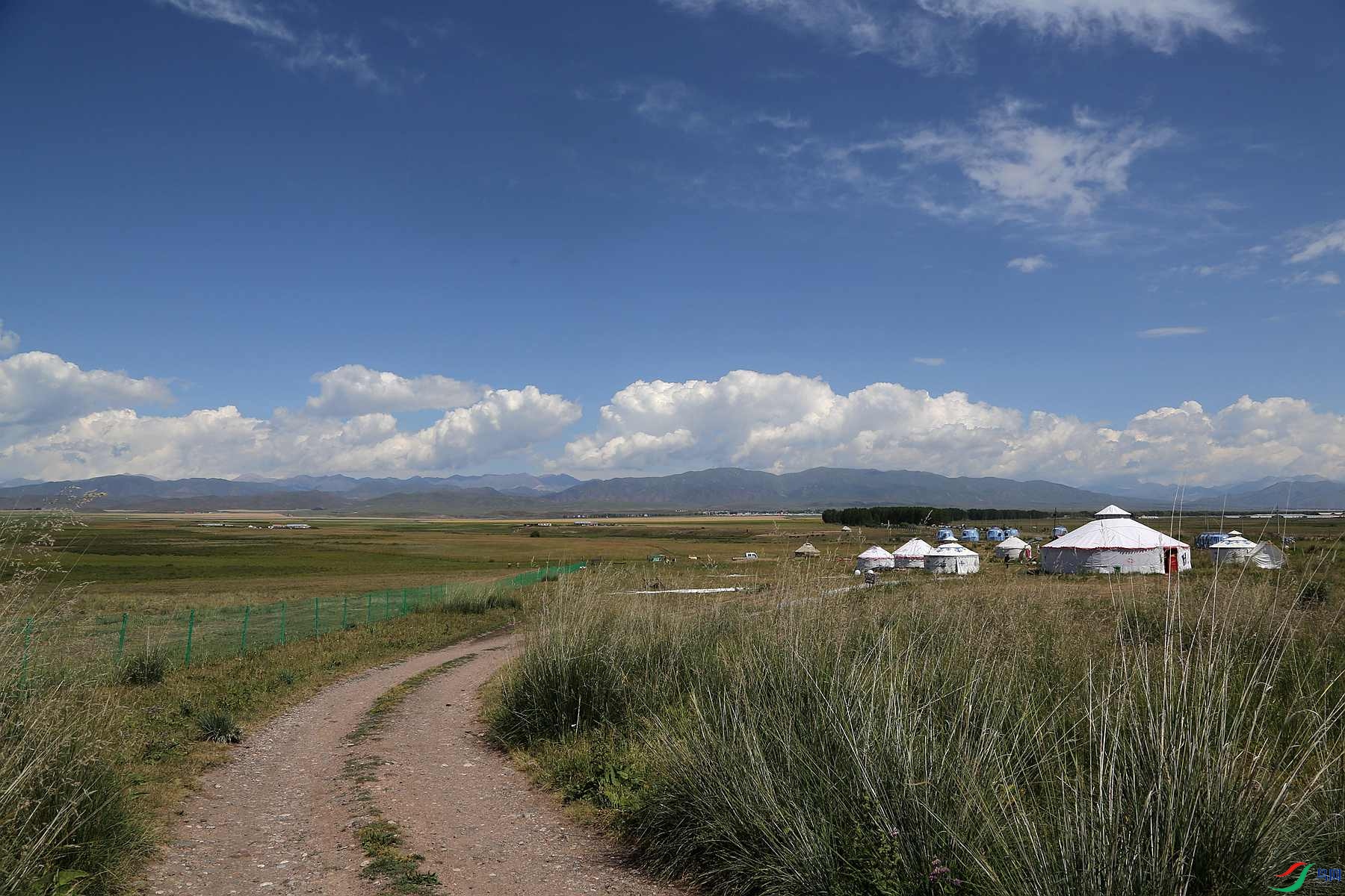 ���յ���Ұ