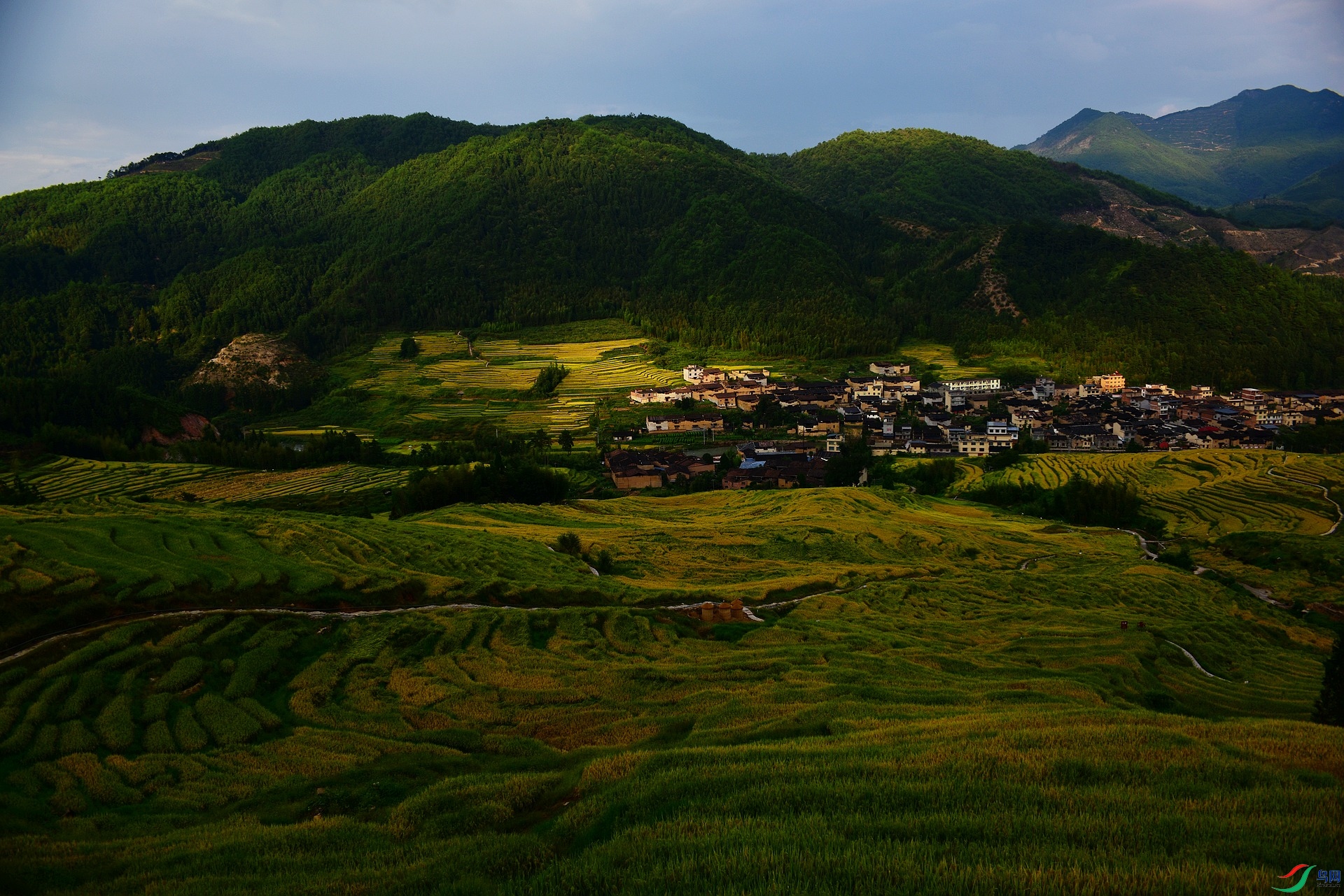 D8I_2577.jpg