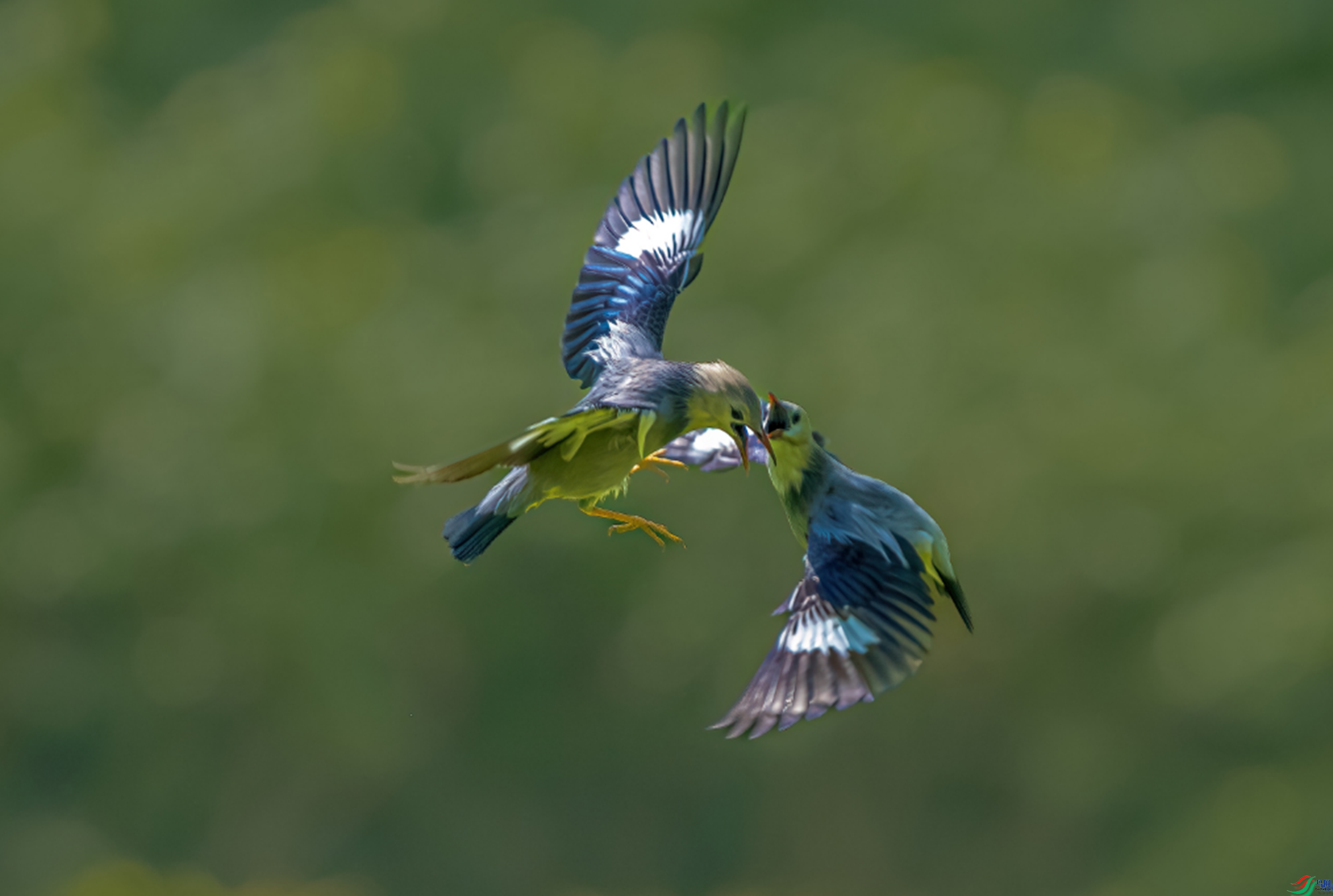 ��Ϫ��ʿ ���պ�����ҳ������9.22.png