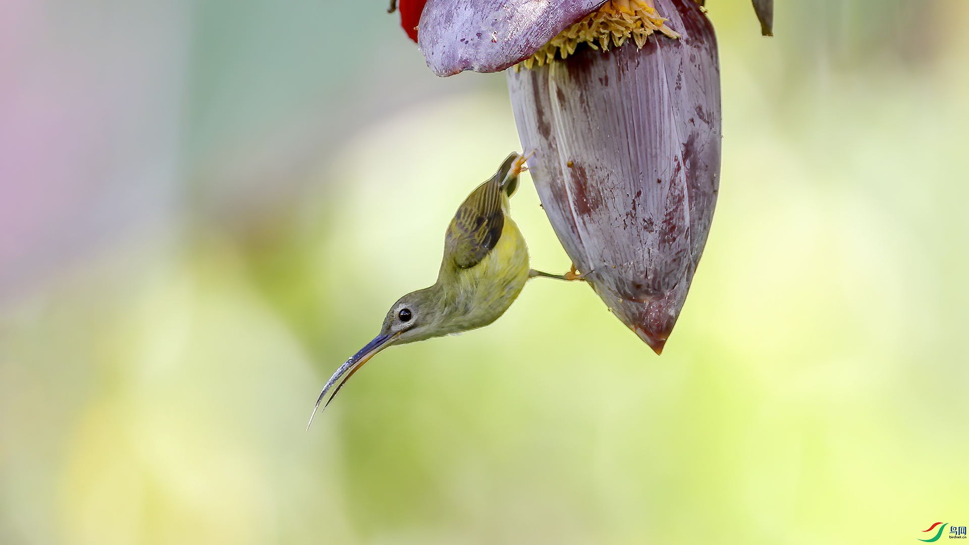 IMG_676nn8.jpg