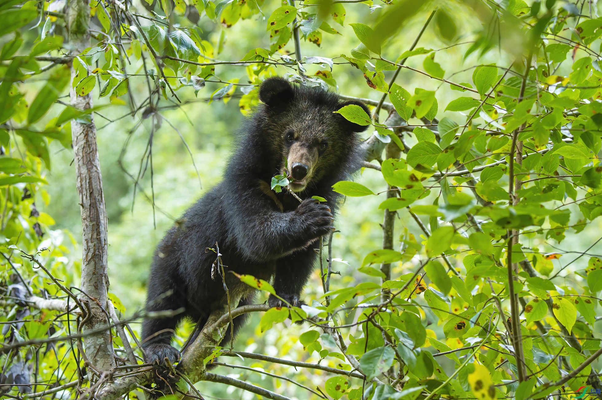 _DSC4564 �ܰ������� ��С��.jpg