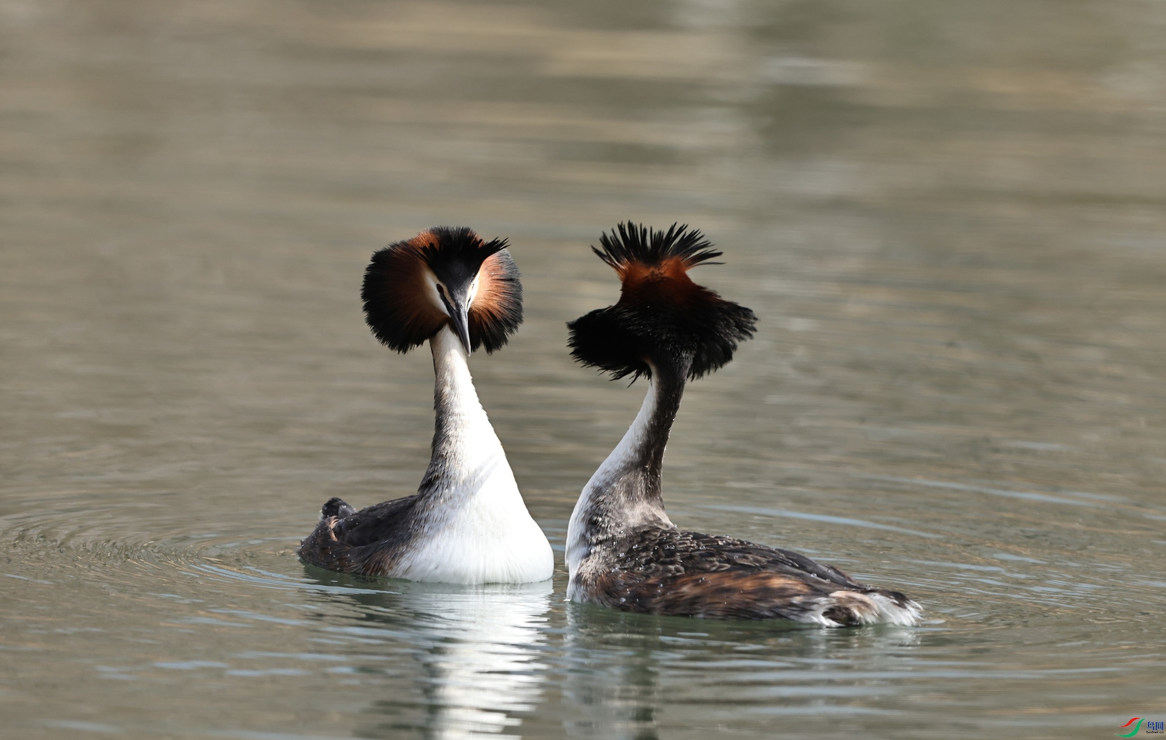 7X5A1180 - ����.JPG