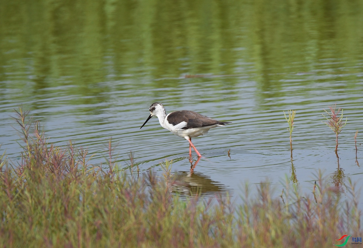 DSC_0778.jpg