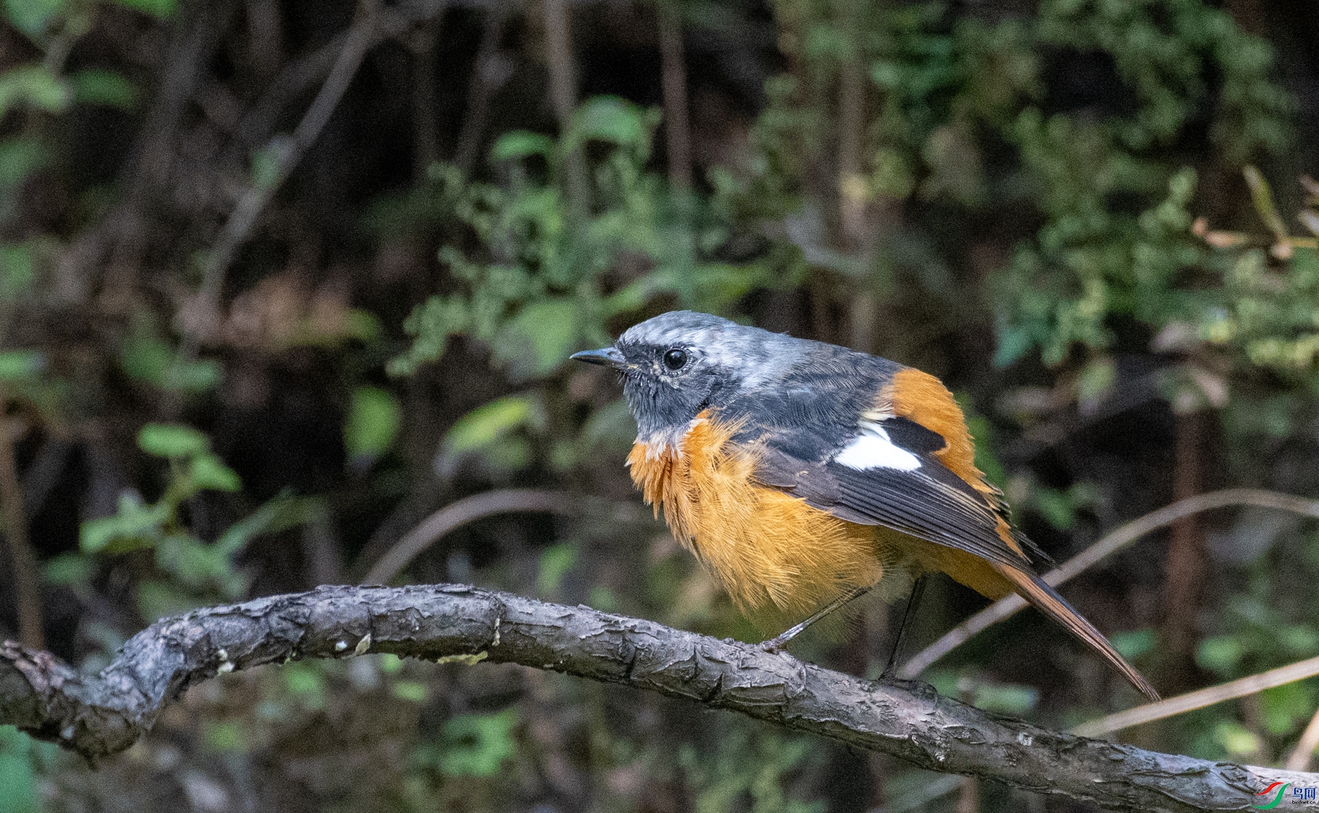DSC_1679.jpg