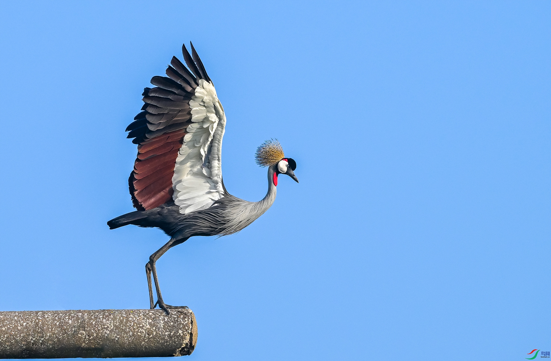 4937 ����.jpg