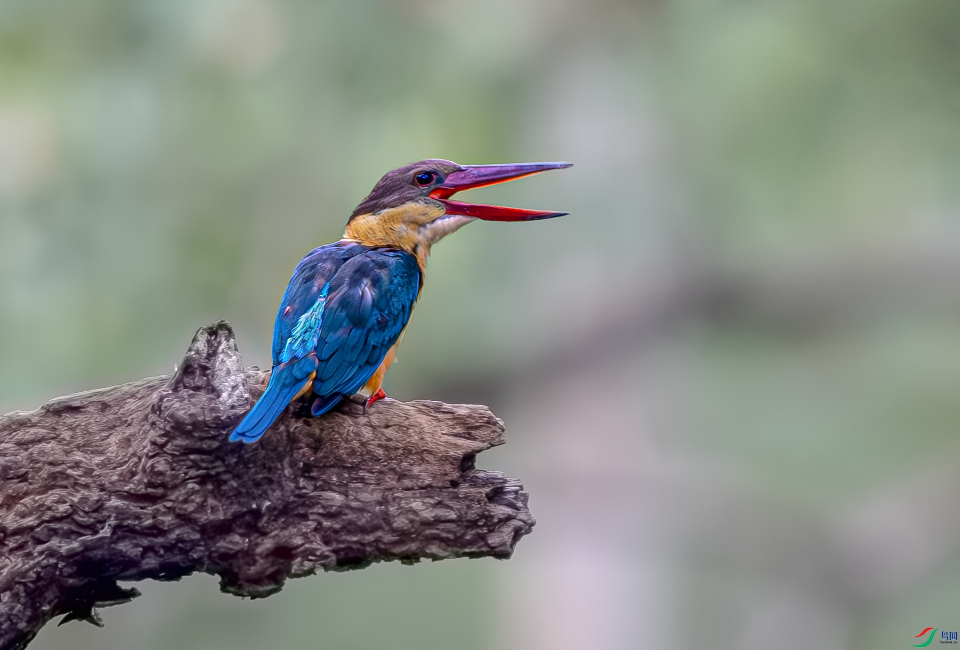 �������