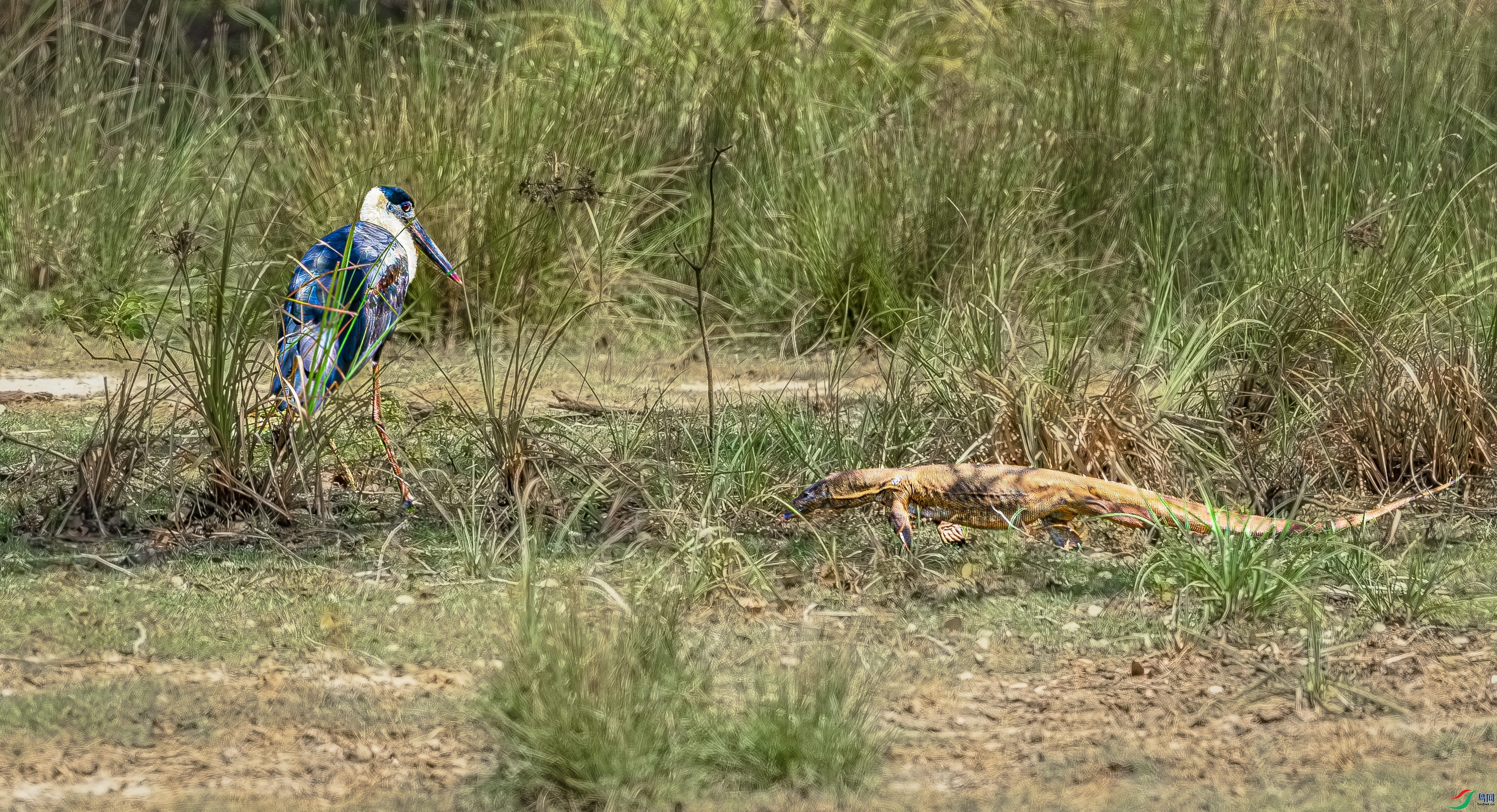 �׾�����