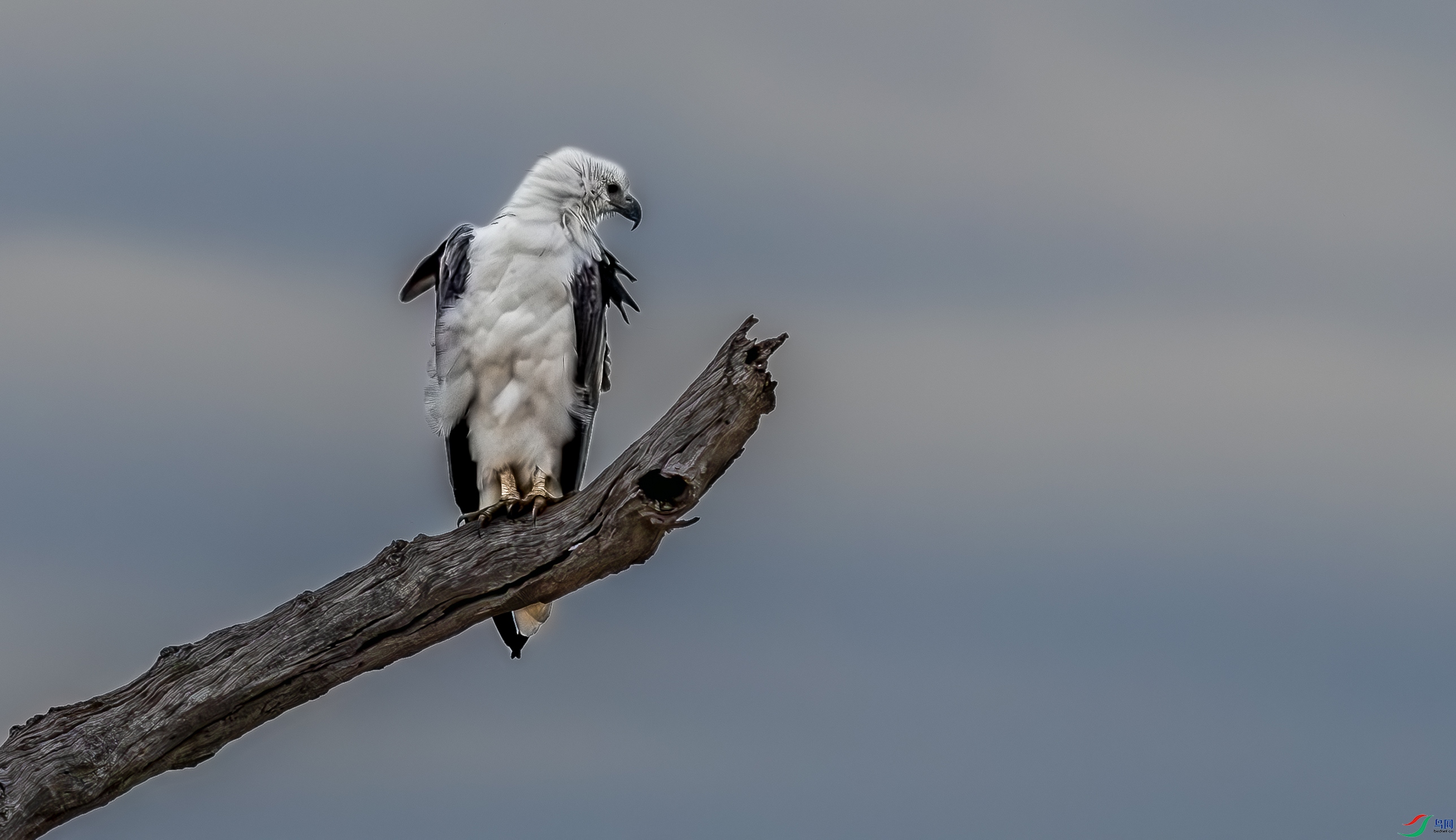 �׸�����