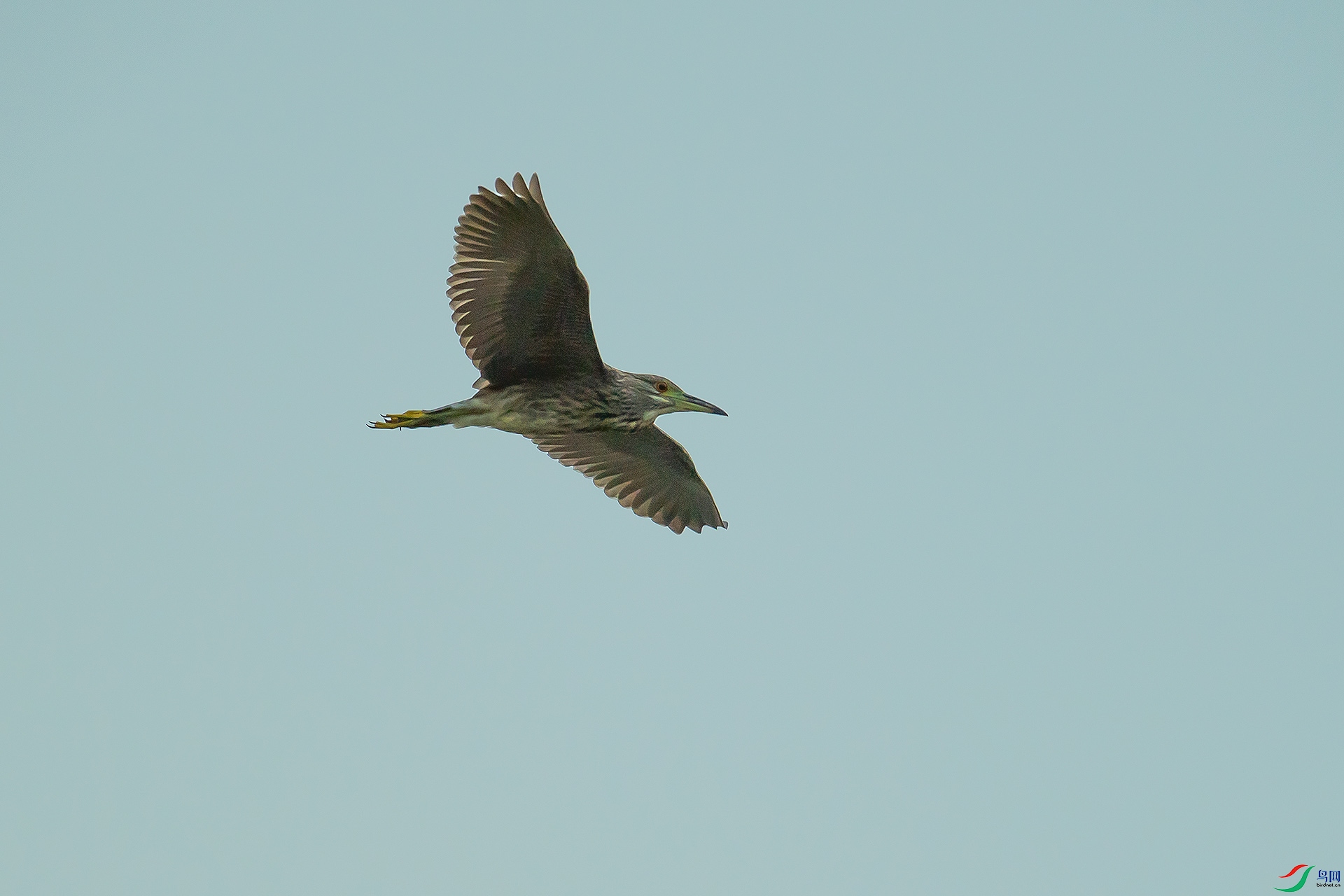 DSC_6861.jpg