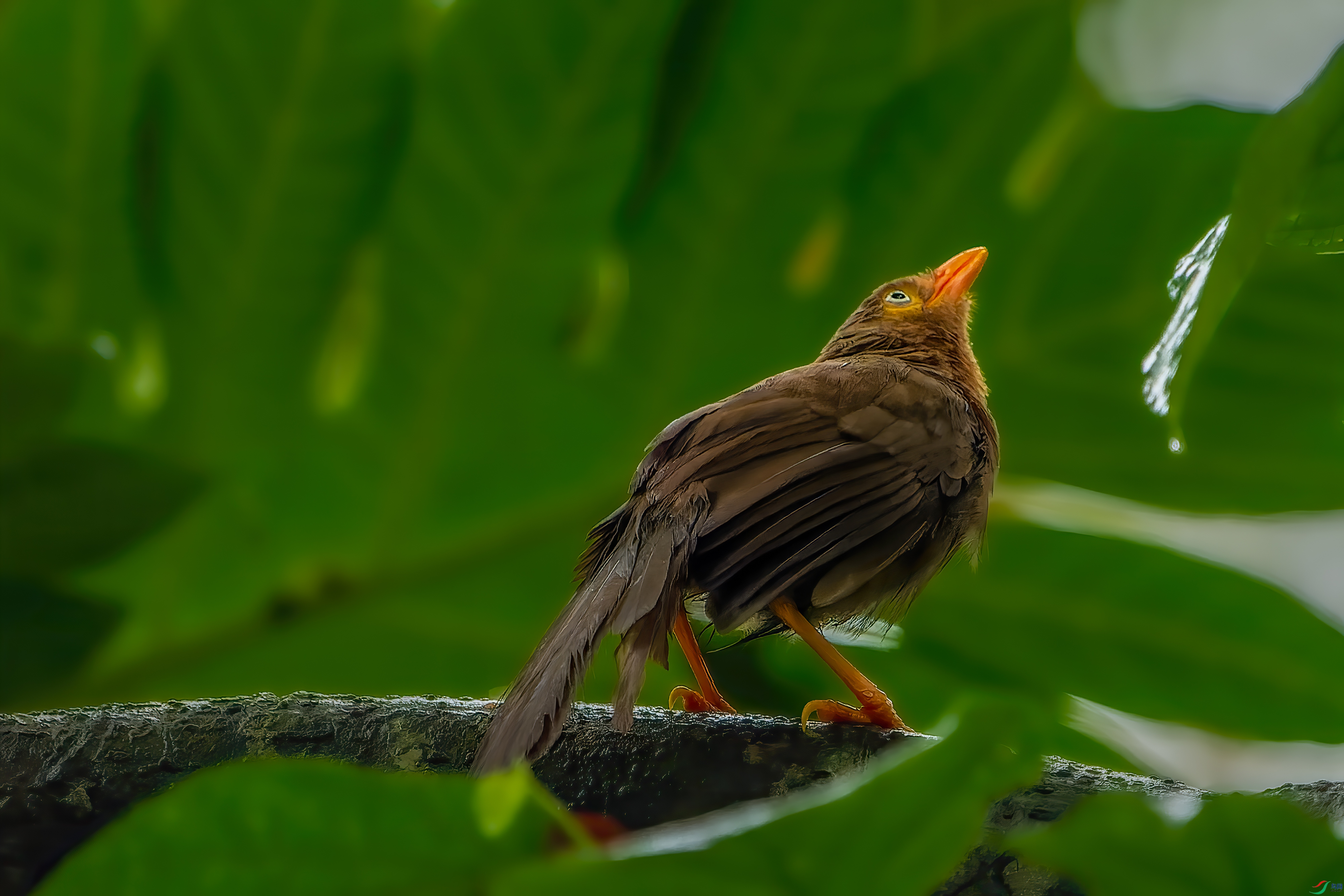 DSC_5587.jpg