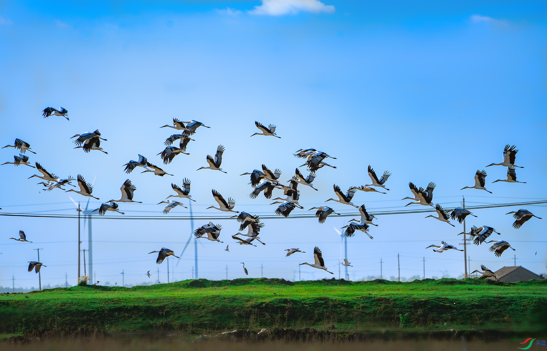 _DSC1517-����ǿ-NR ����.jpg