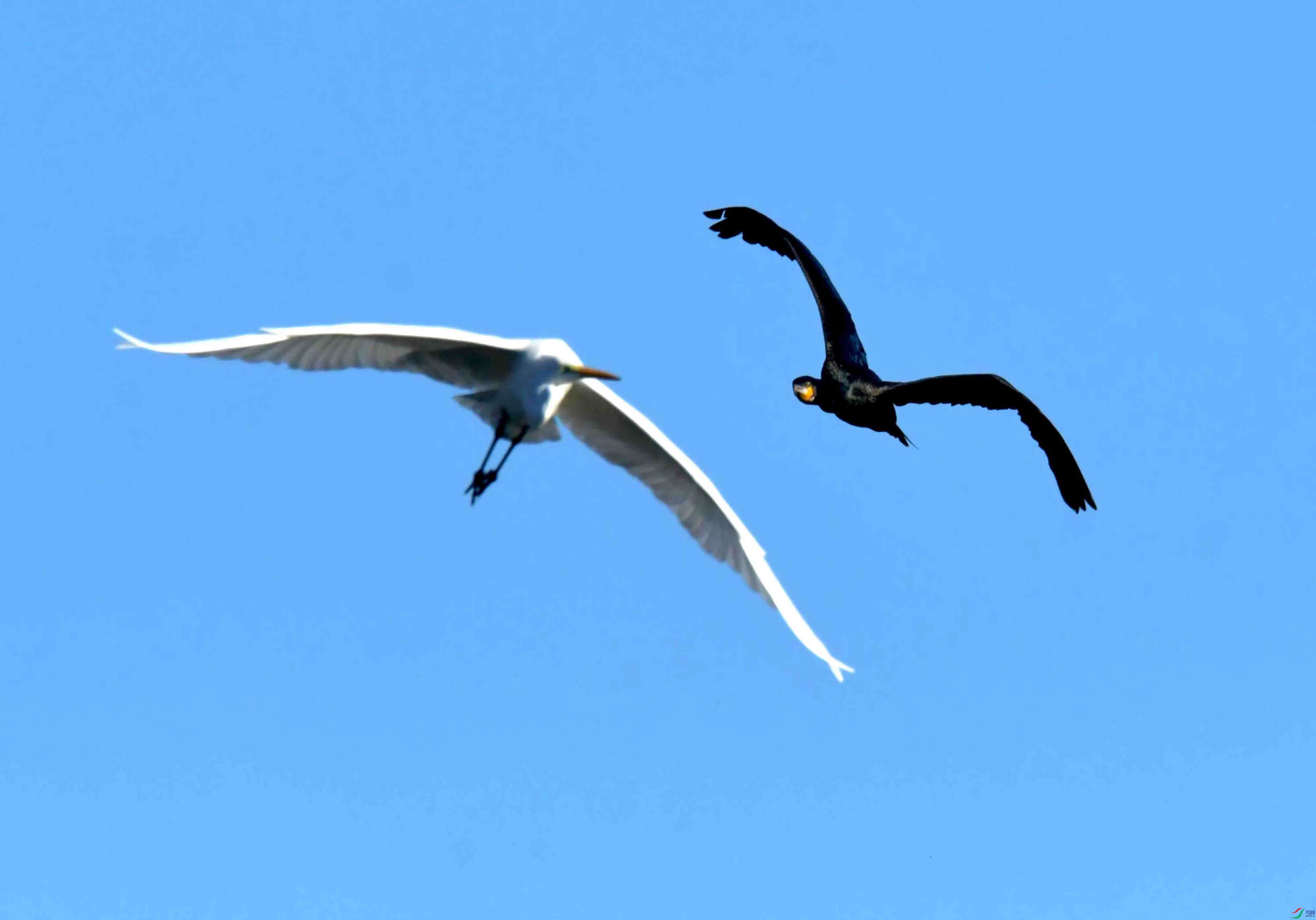 DSC_7119.JPG