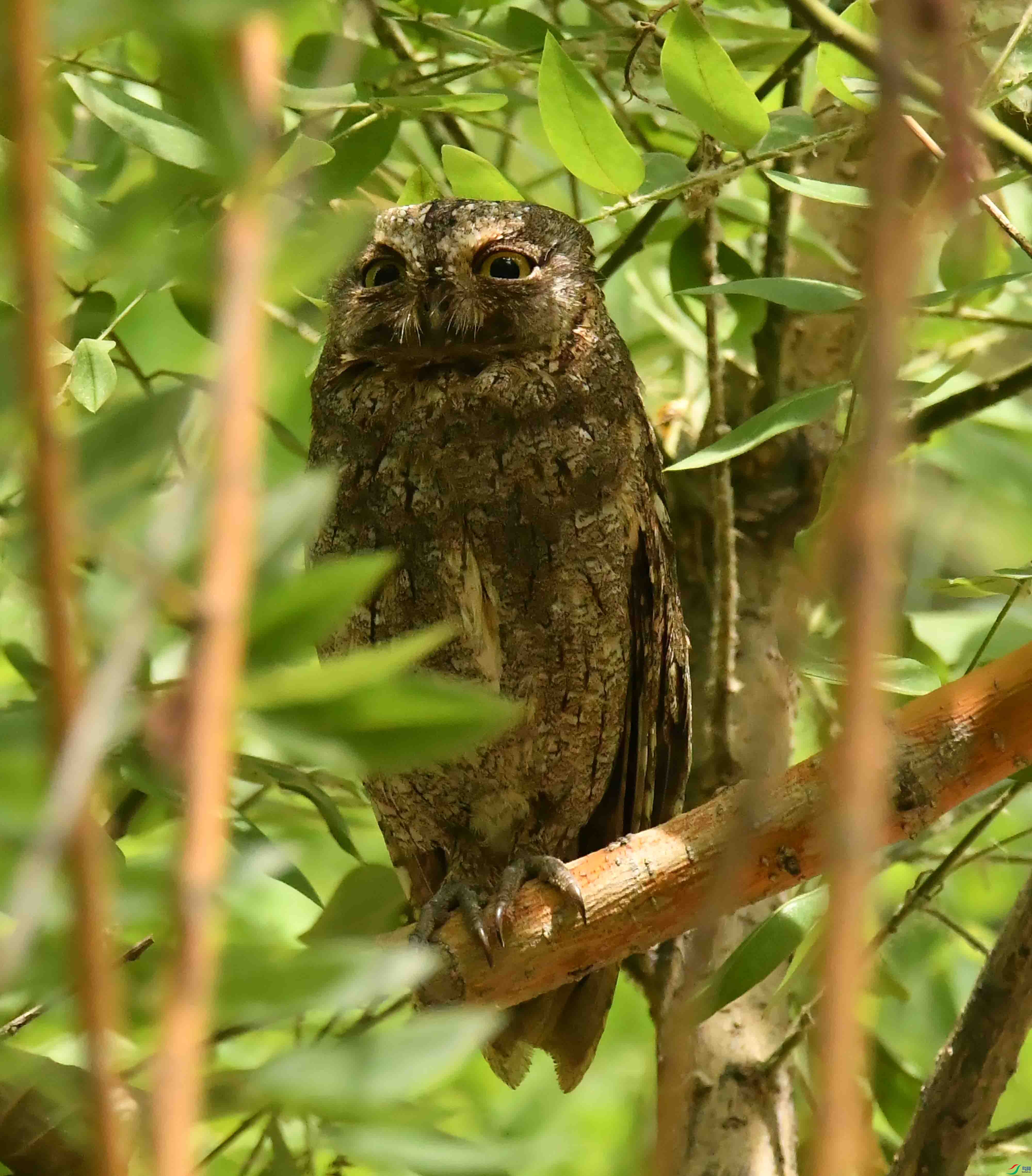 DSC_4277.JPG