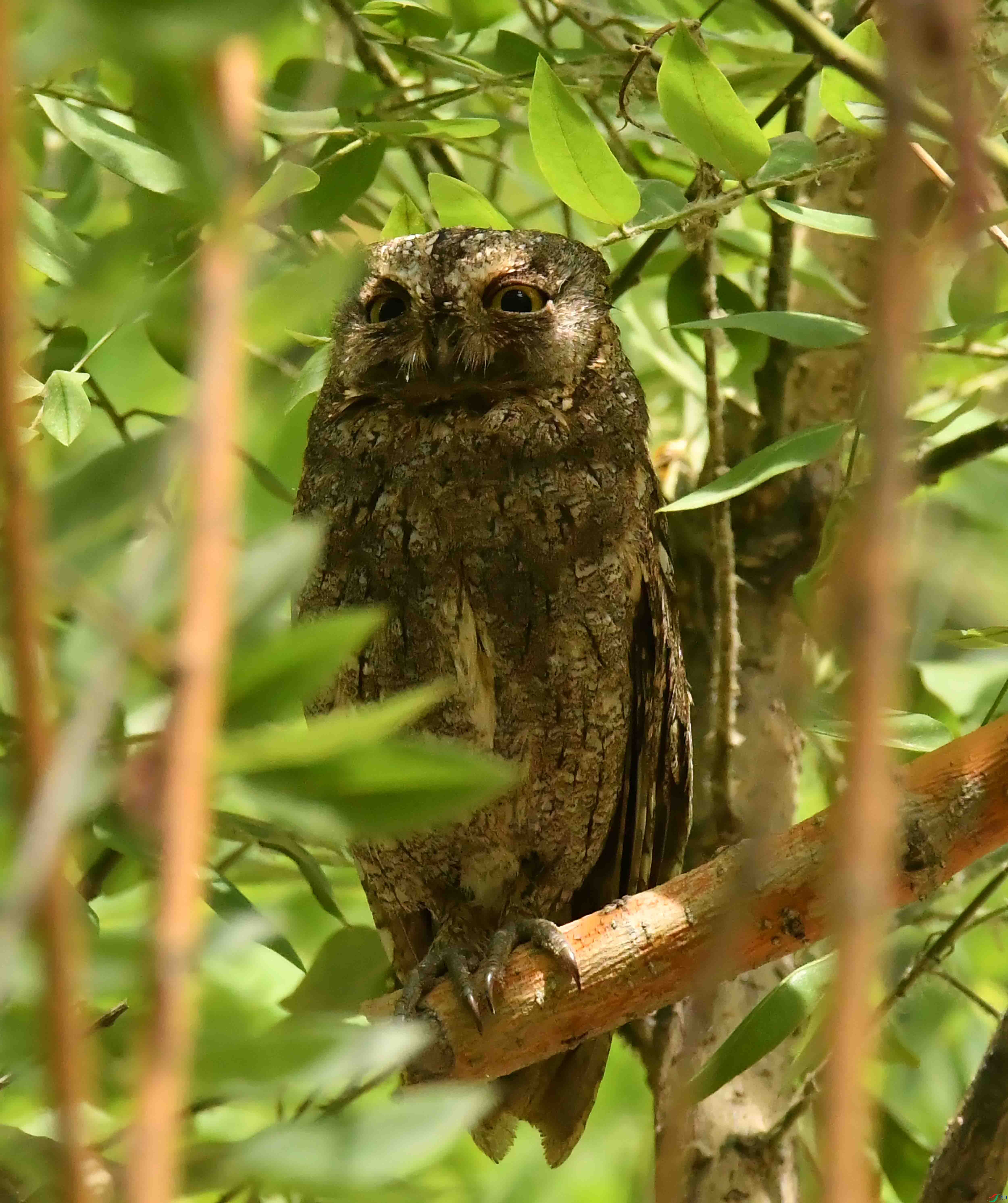 DSC_4281.JPG