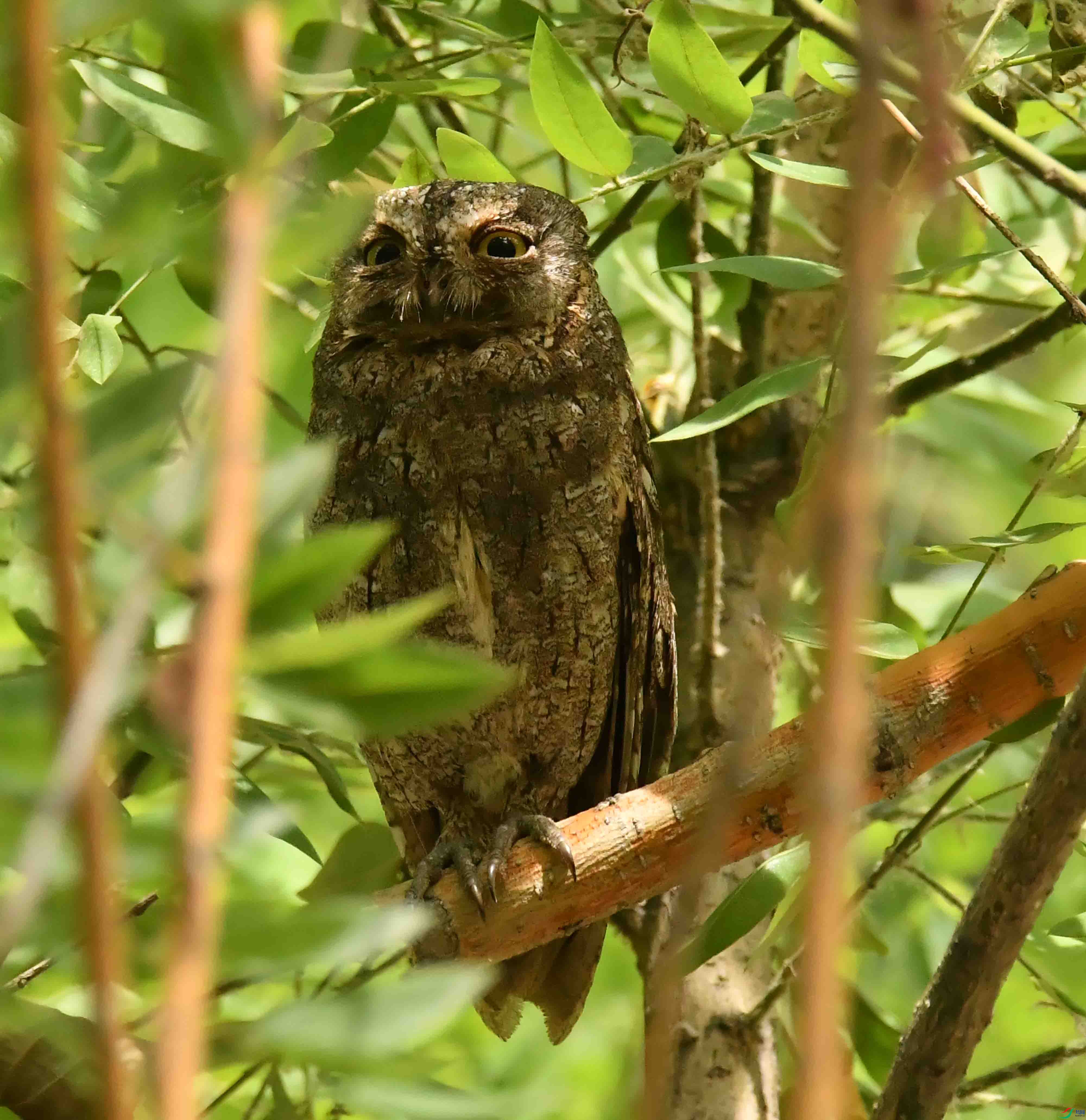 DSC_4278.JPG