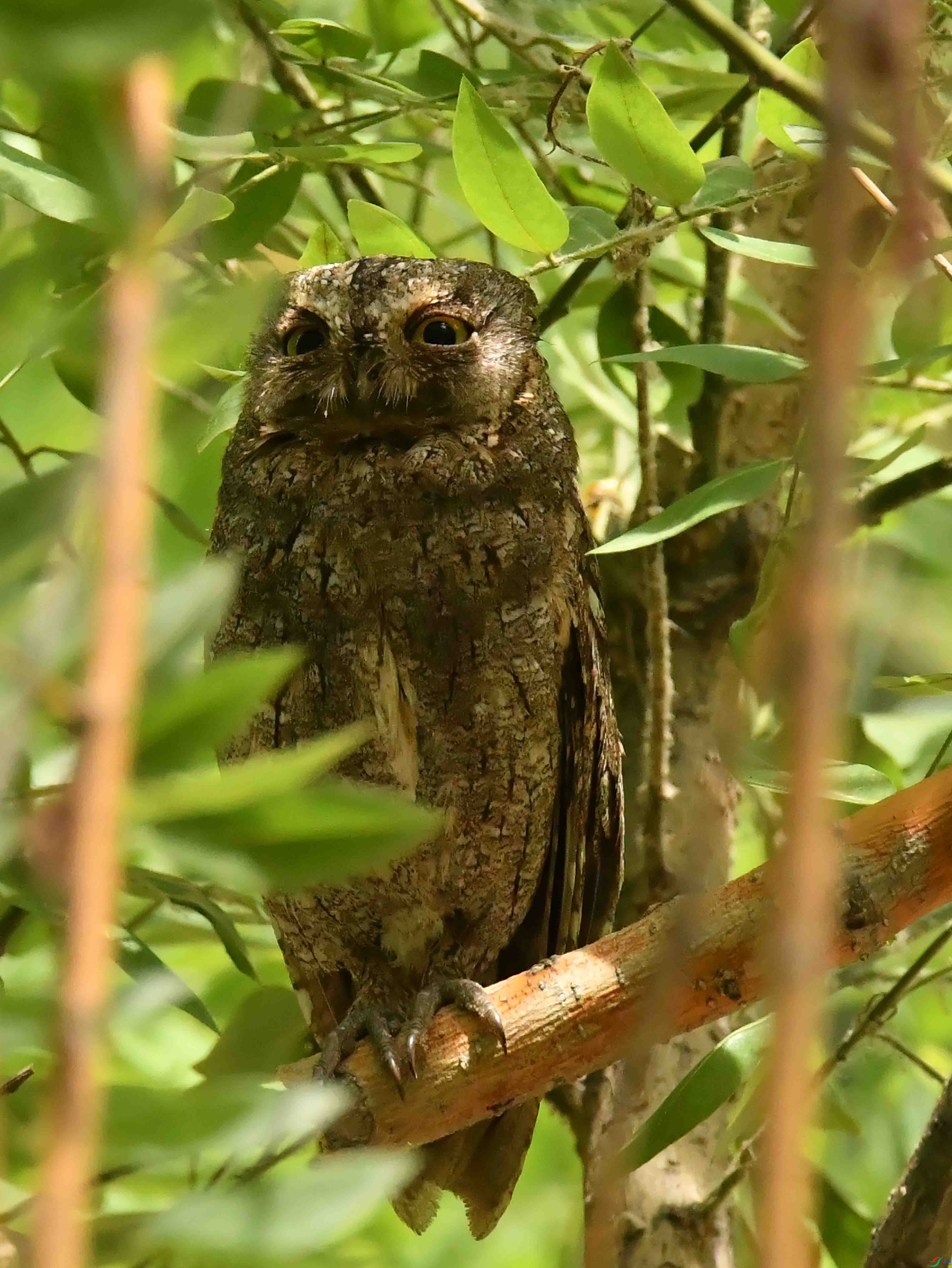 DSC_4282.JPG