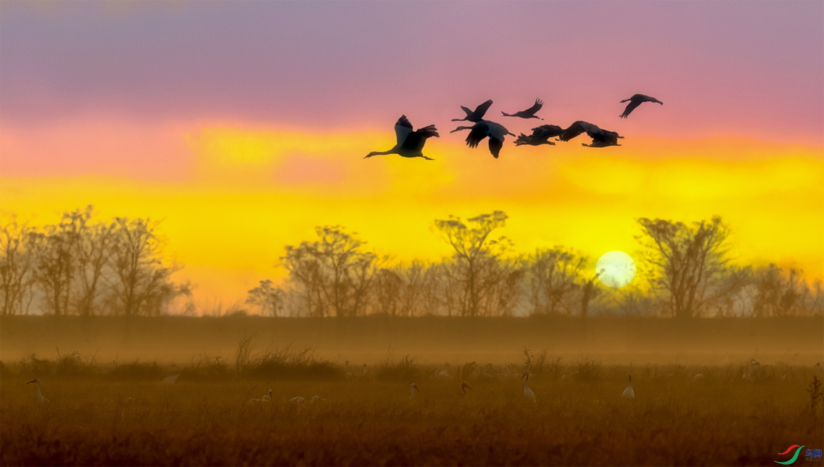 �׺�----�׼�������