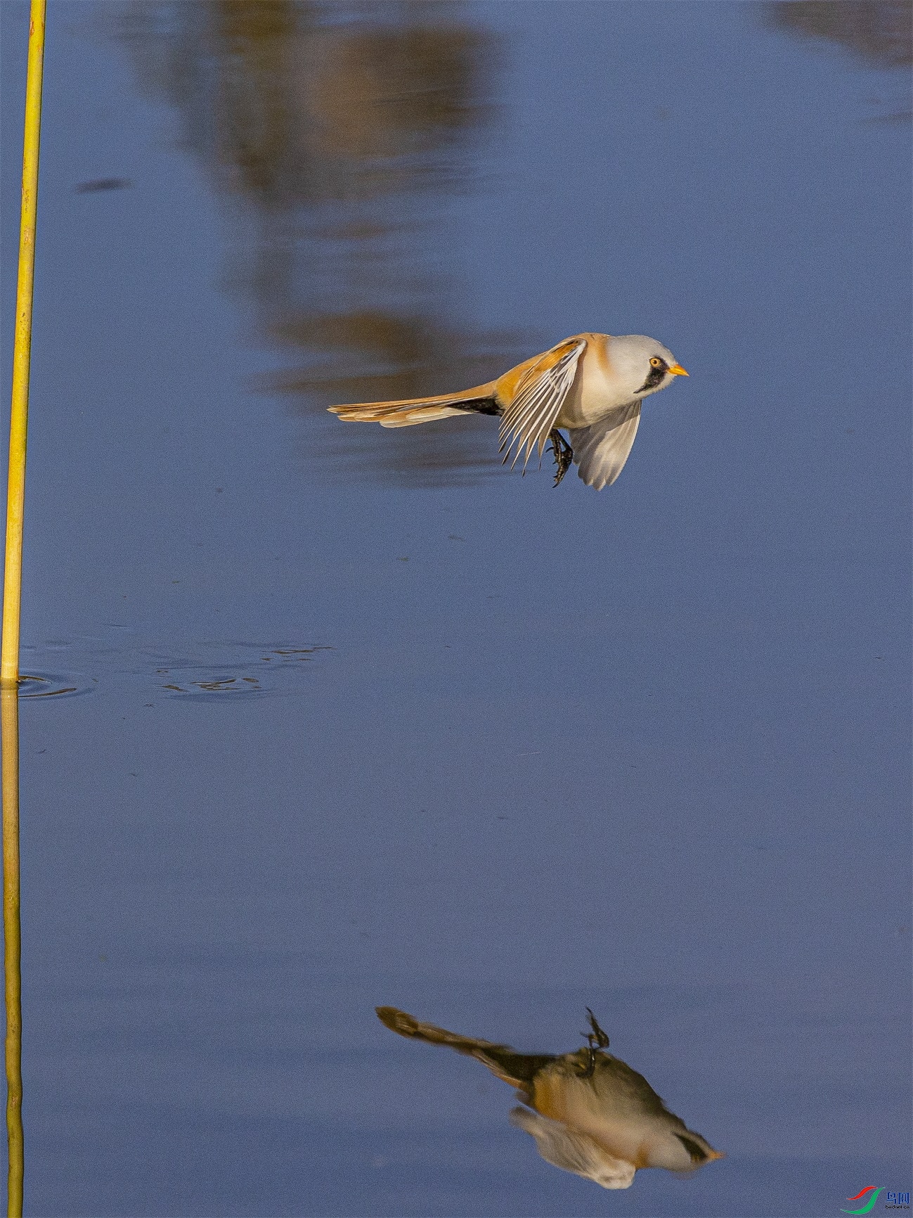 1K3A4514 ����1.jpg