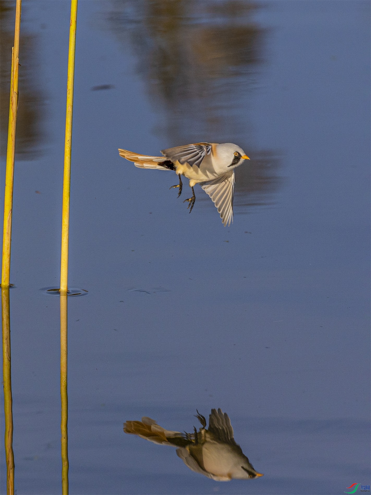 1K3A4513 ����1.jpg