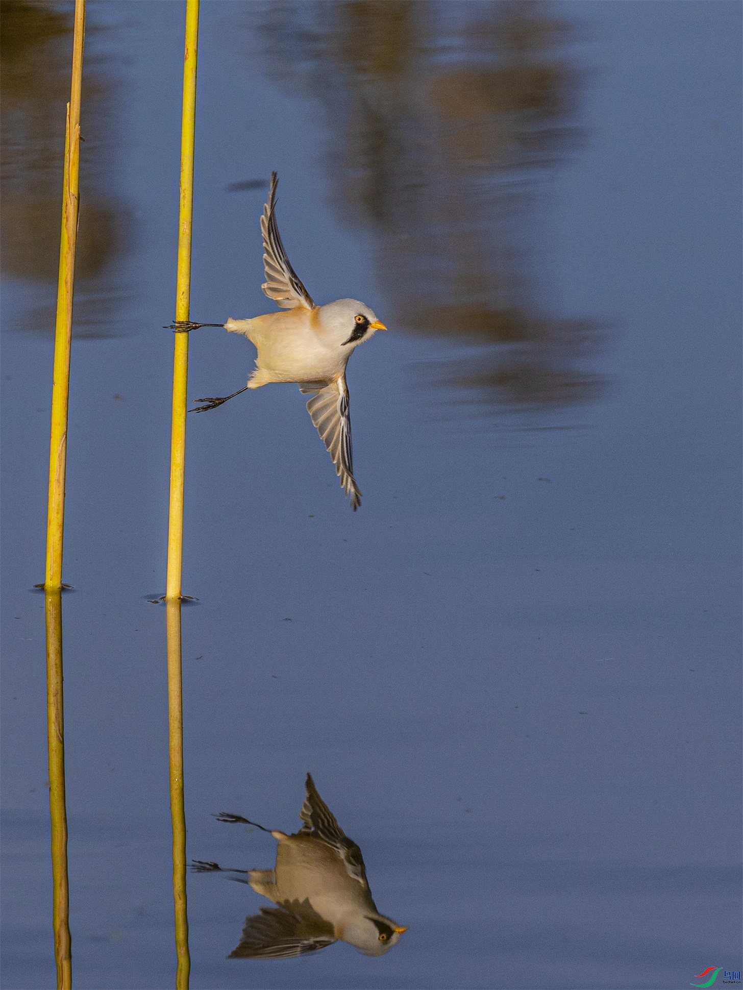 1K3A4512 ����1.jpg