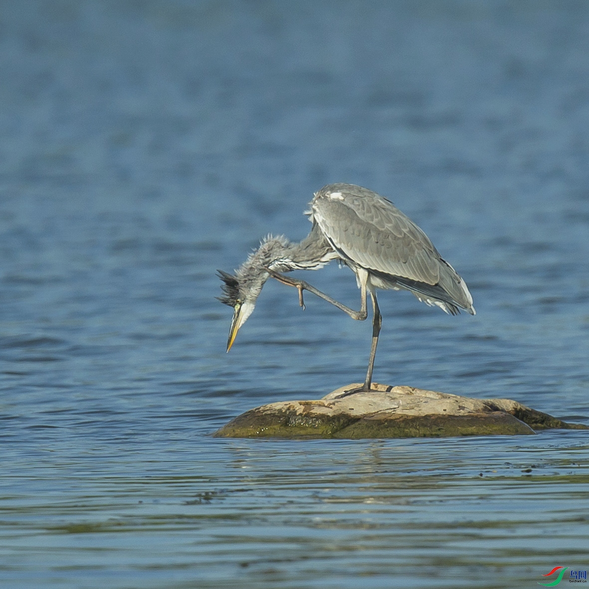 _MG_0638 ����.jpg