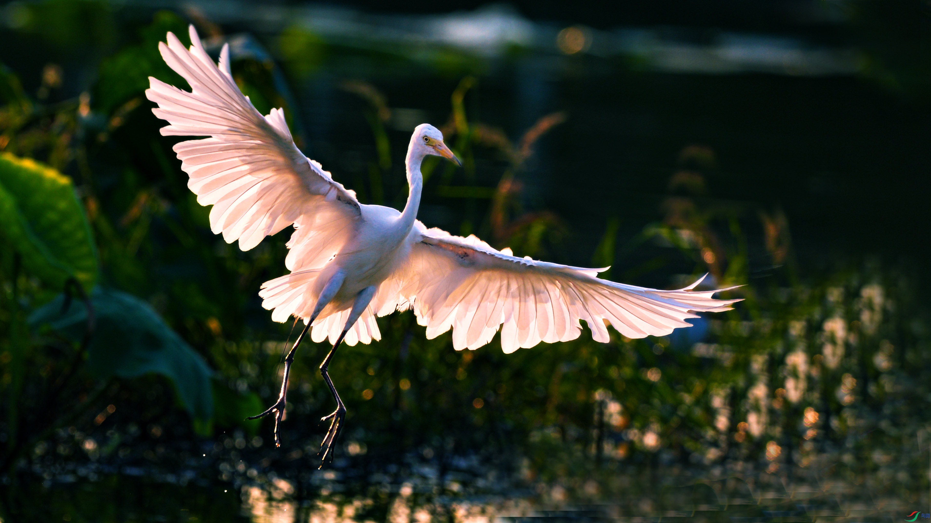 DSC_4403.jpg