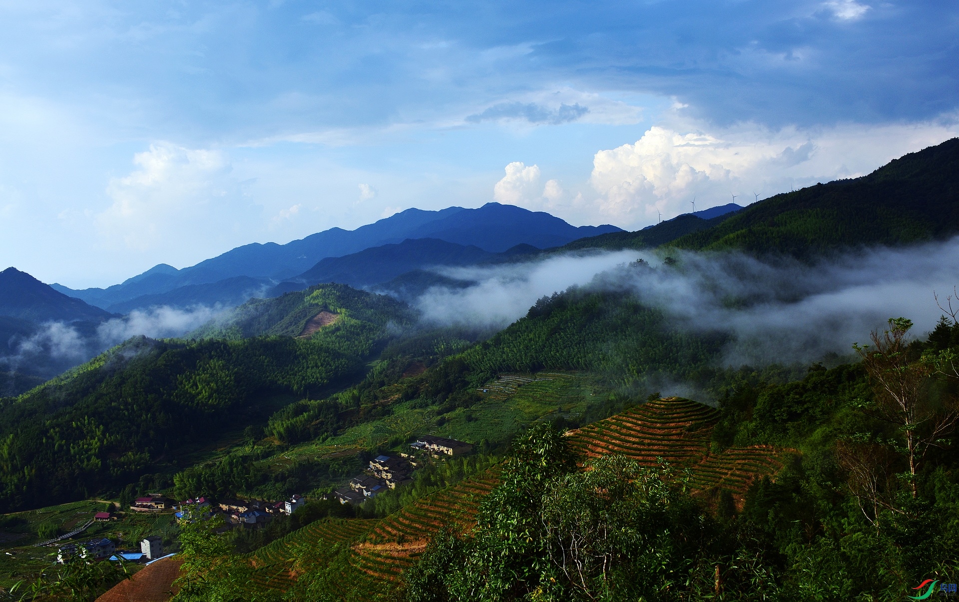 D8I_2536.jpg