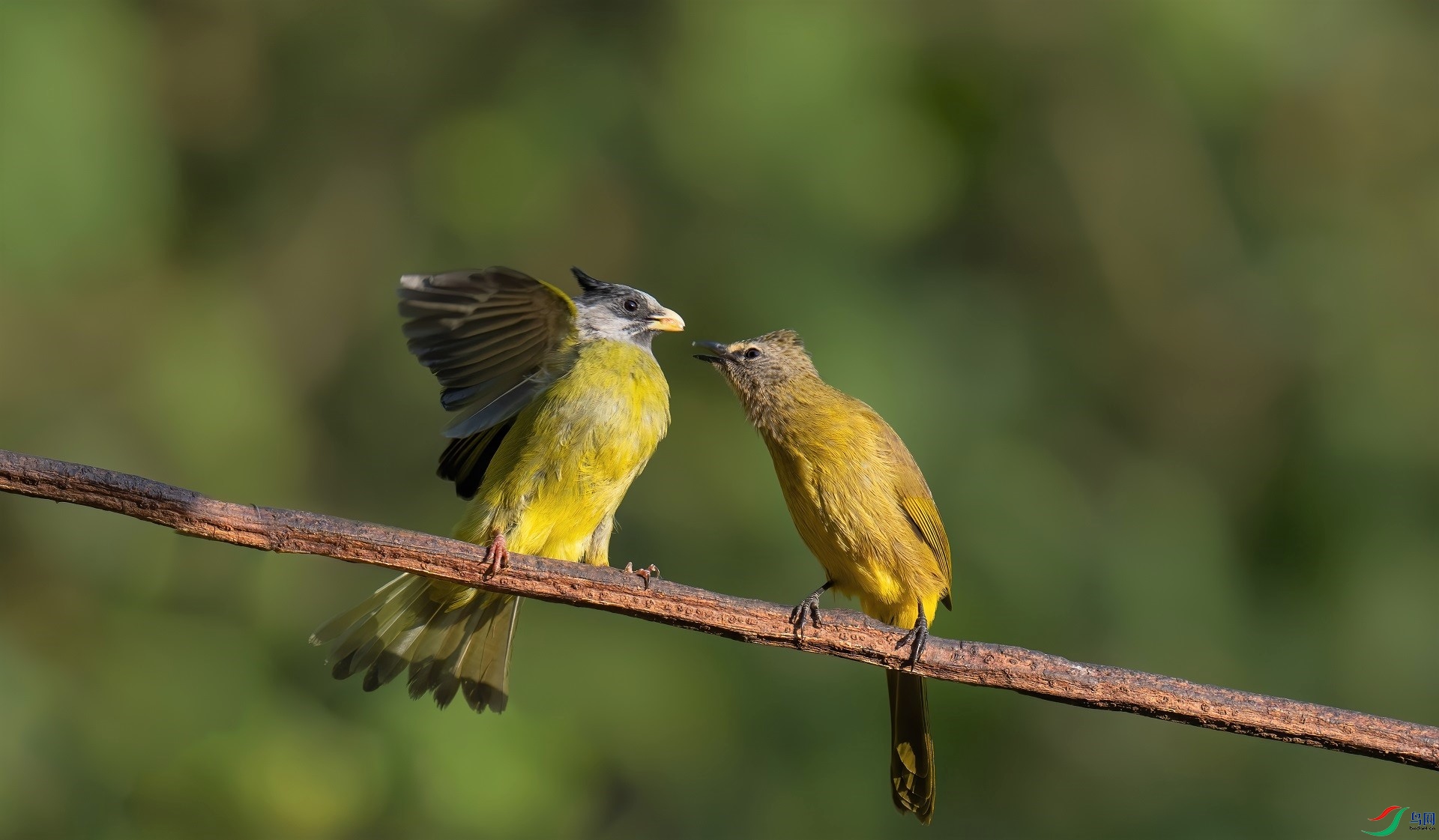 DSC02829-denoise-denoise (2).jpg