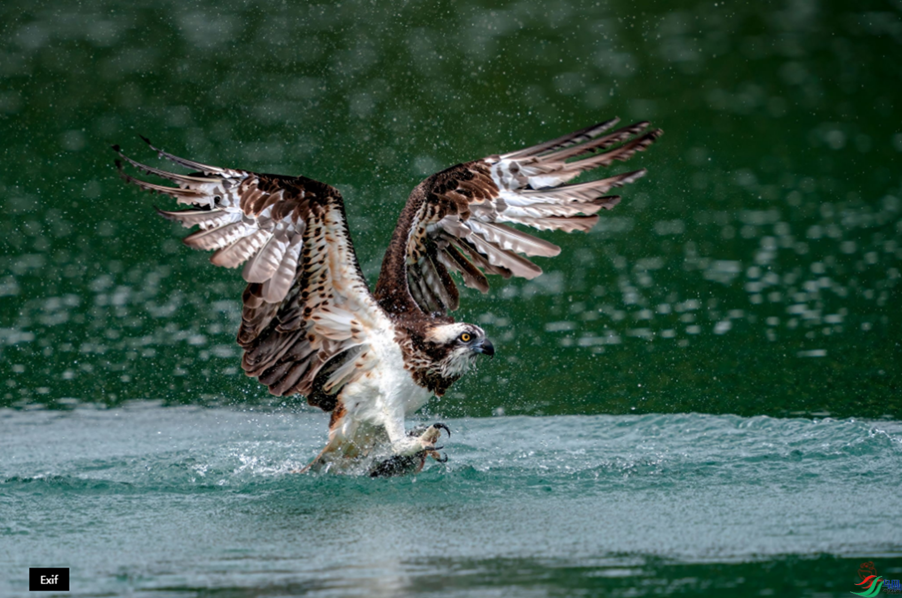 �{���� ���P����ҳ������9.23.png