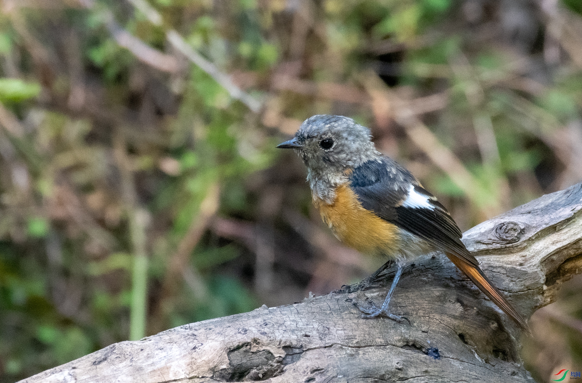 DSC_1697.jpg