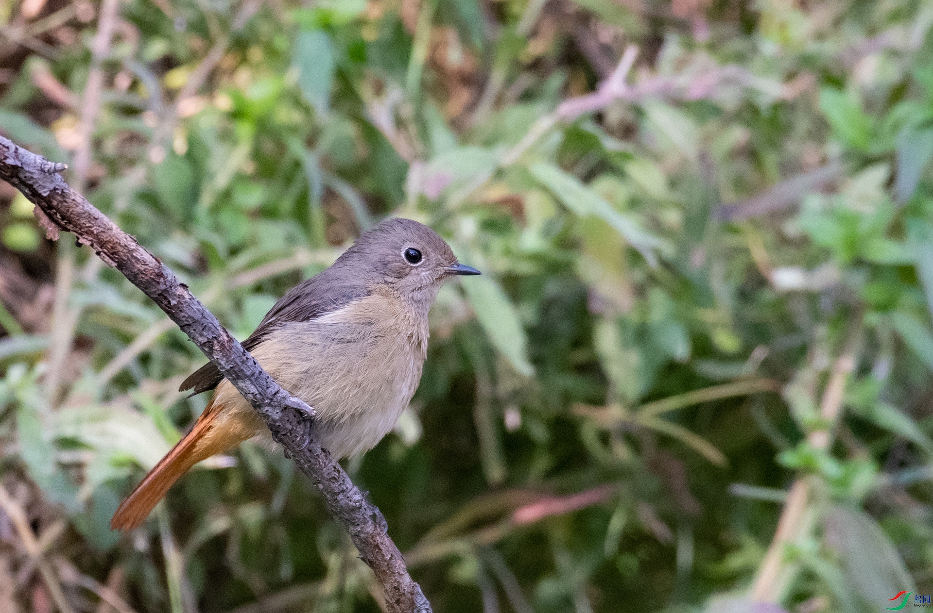 DSC_1739.jpg