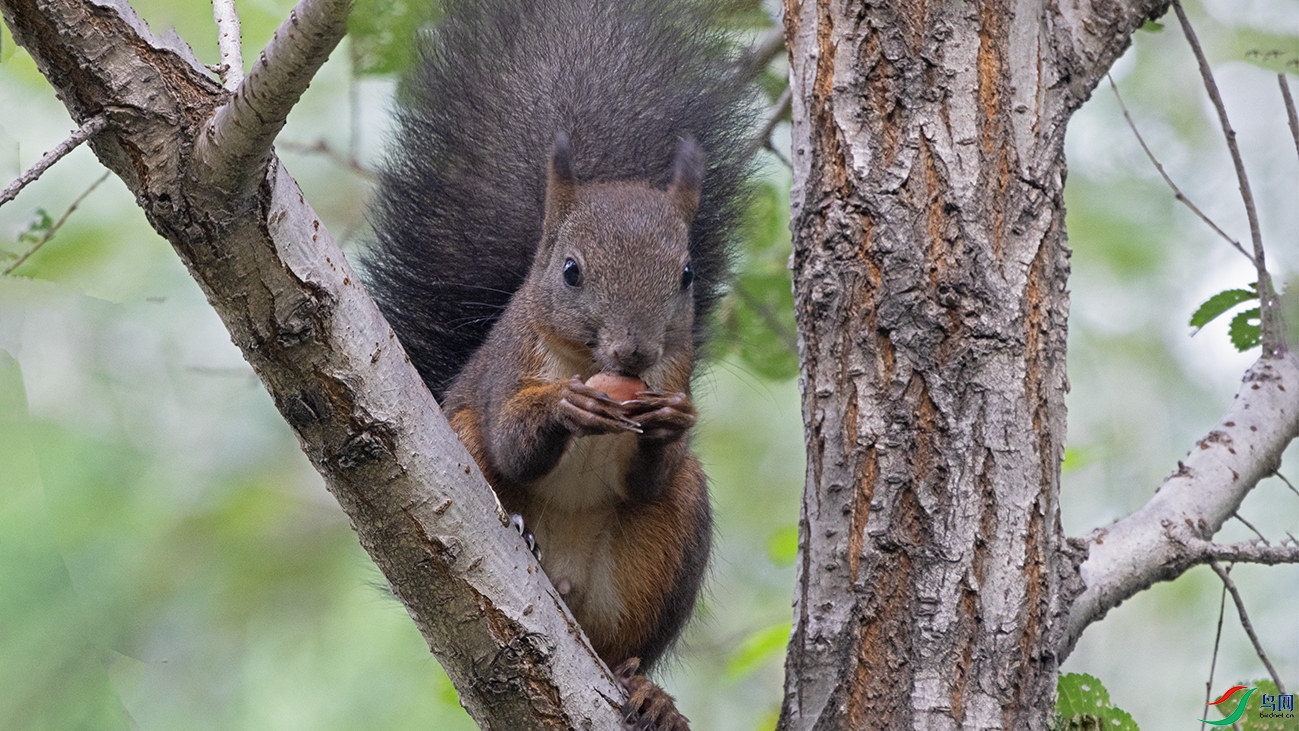 3U2A3576 ���� 2.jpg