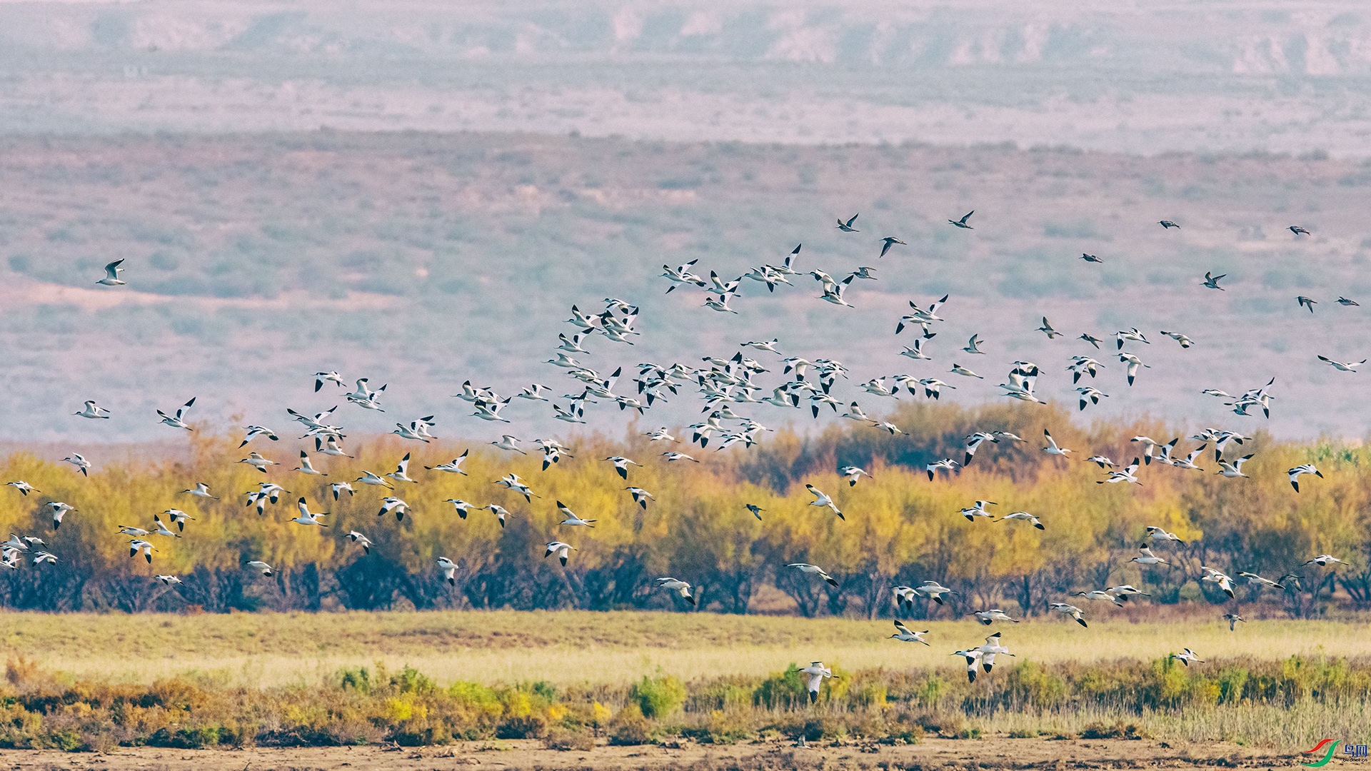 DSC_2277-3.jpg