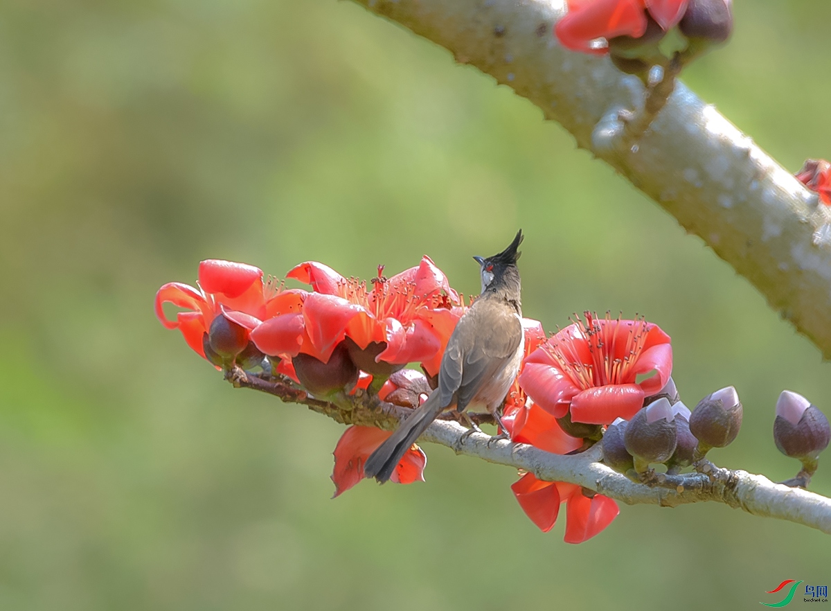 DSC_1521.JPG